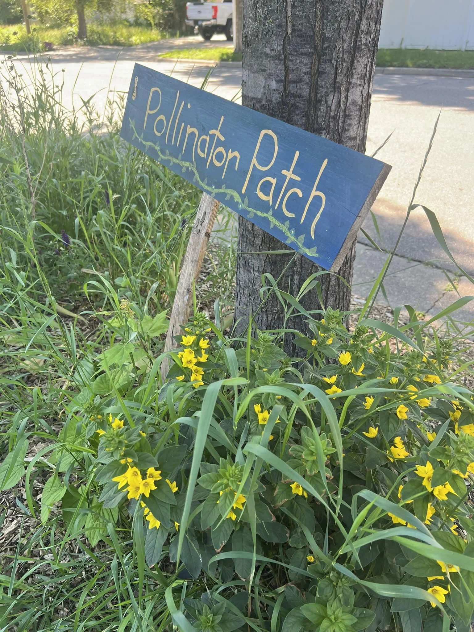 Pollination for Life