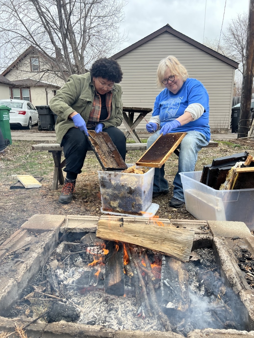 Two women wearing gloves honey extracting honey from beehive frames over an outdoor firepit, with trees and houses in the background.