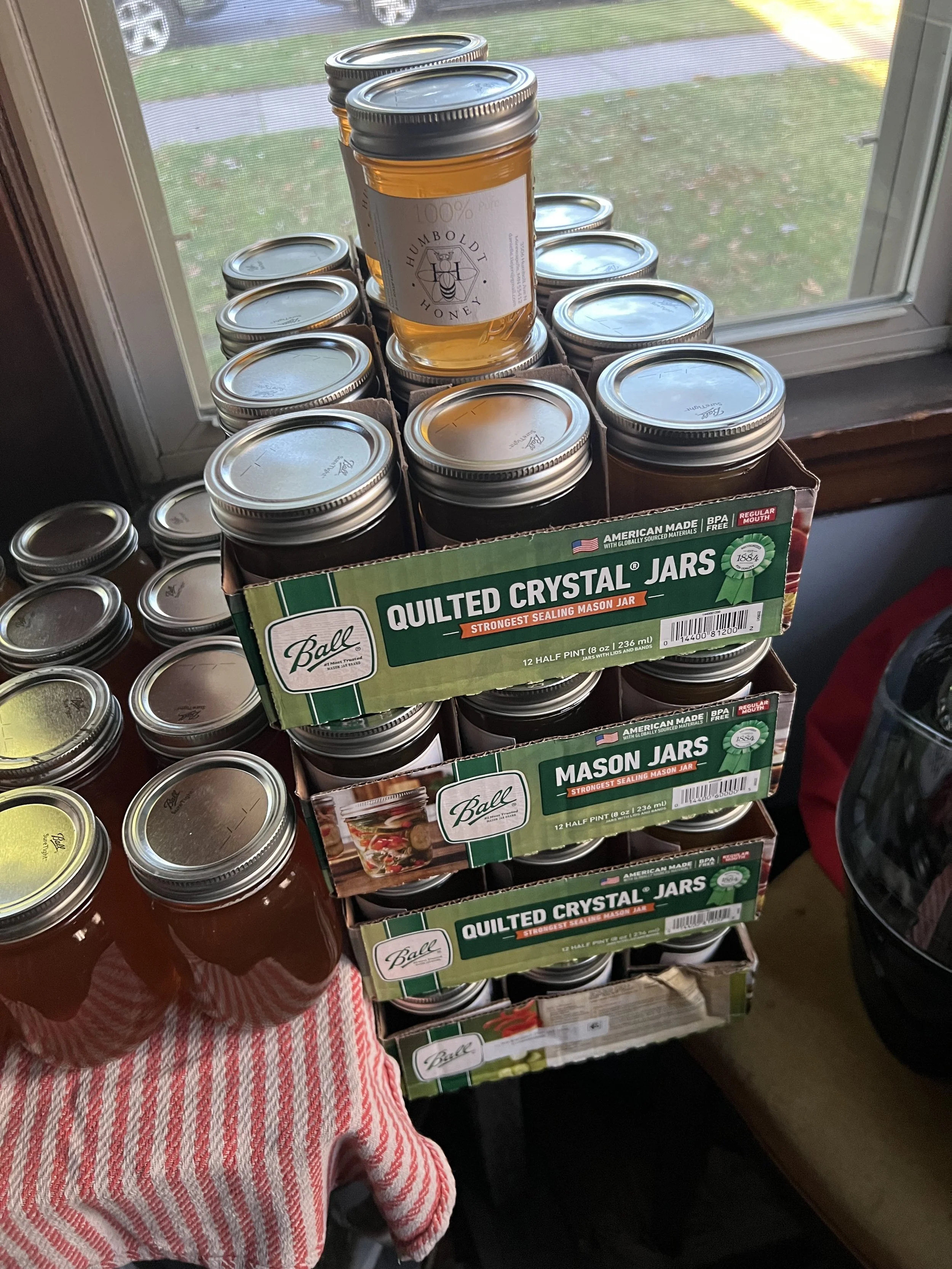 Multiple jars of honey in quart and half-pint sizes stacked on a kitchen counter near a window.