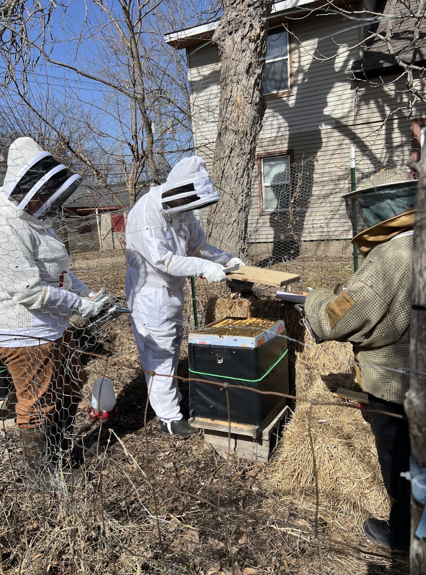 Three beekeepers wearing protective suits and veils inspecting a beehive in a backyard with a house and bare trees in the background.
