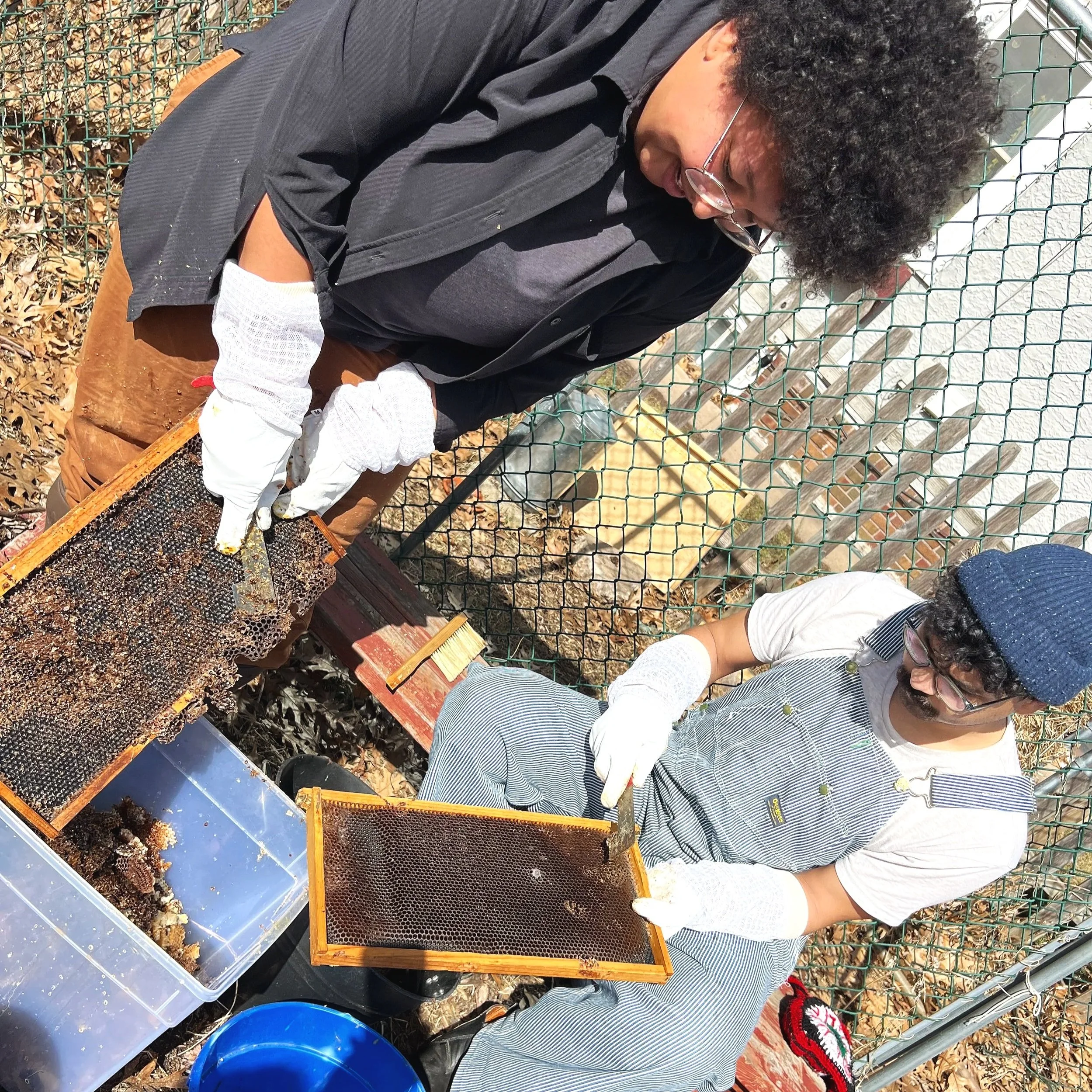 Two men working on honeycomb frames outdoors, wearing gloves and casual clothes, with beekeeping equipment nearby.