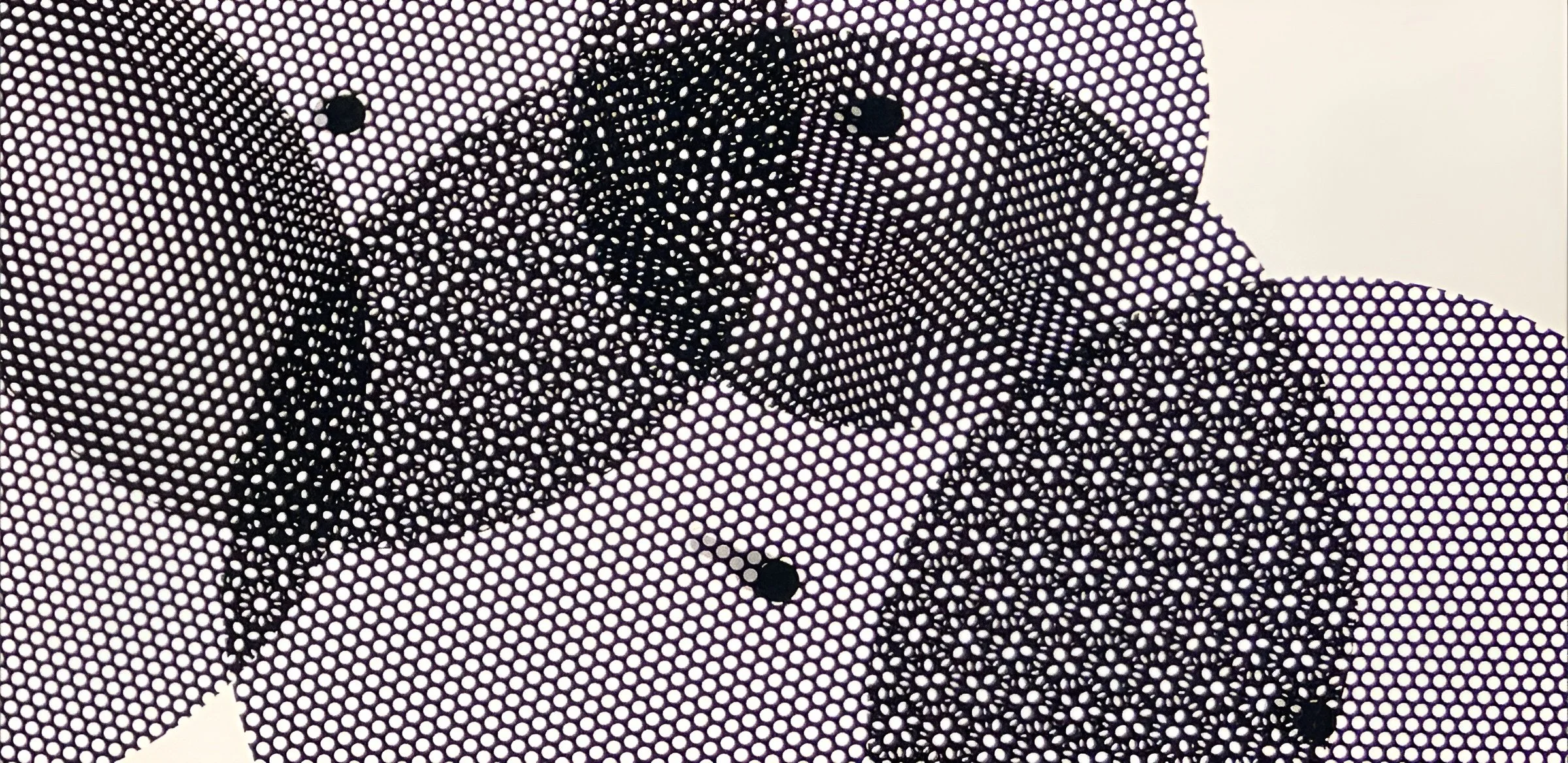 moire-1-capa.jpg
