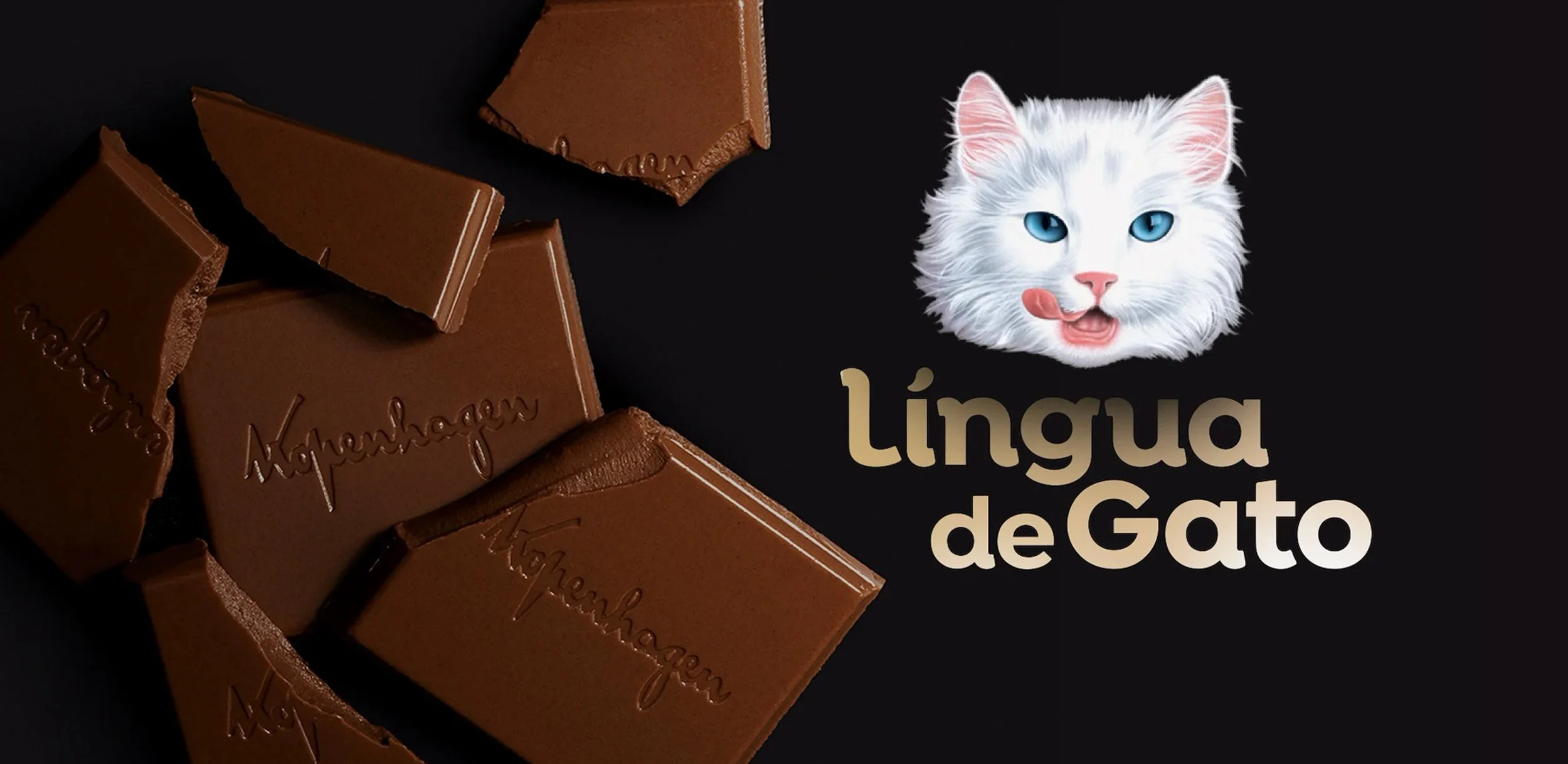 lingu-de-gato-capa.jpg