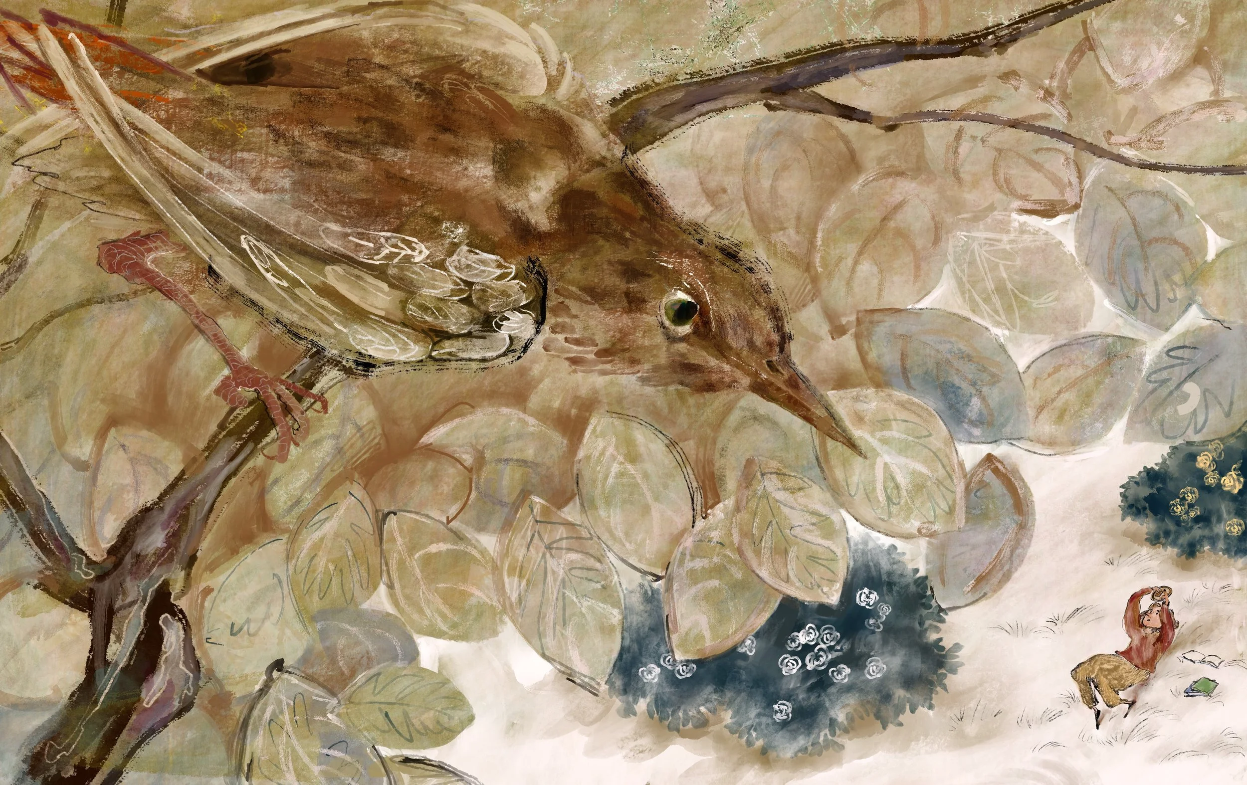 A bird with a long beak perched on a branch among leaves, with a person lying on the grass looking up at the bird in the background.