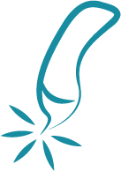 A stylized line drawing of a cosemetic skin health laser treatment tool.