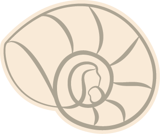 Wave Dermatology icon logo of a close-up of a seashell with a spiral shape and hidden image of a mother and child.