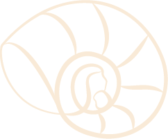 Wave Dermatology icon logo of a close-up of a seashell with a spiral shape and hidden image of a mother and child.