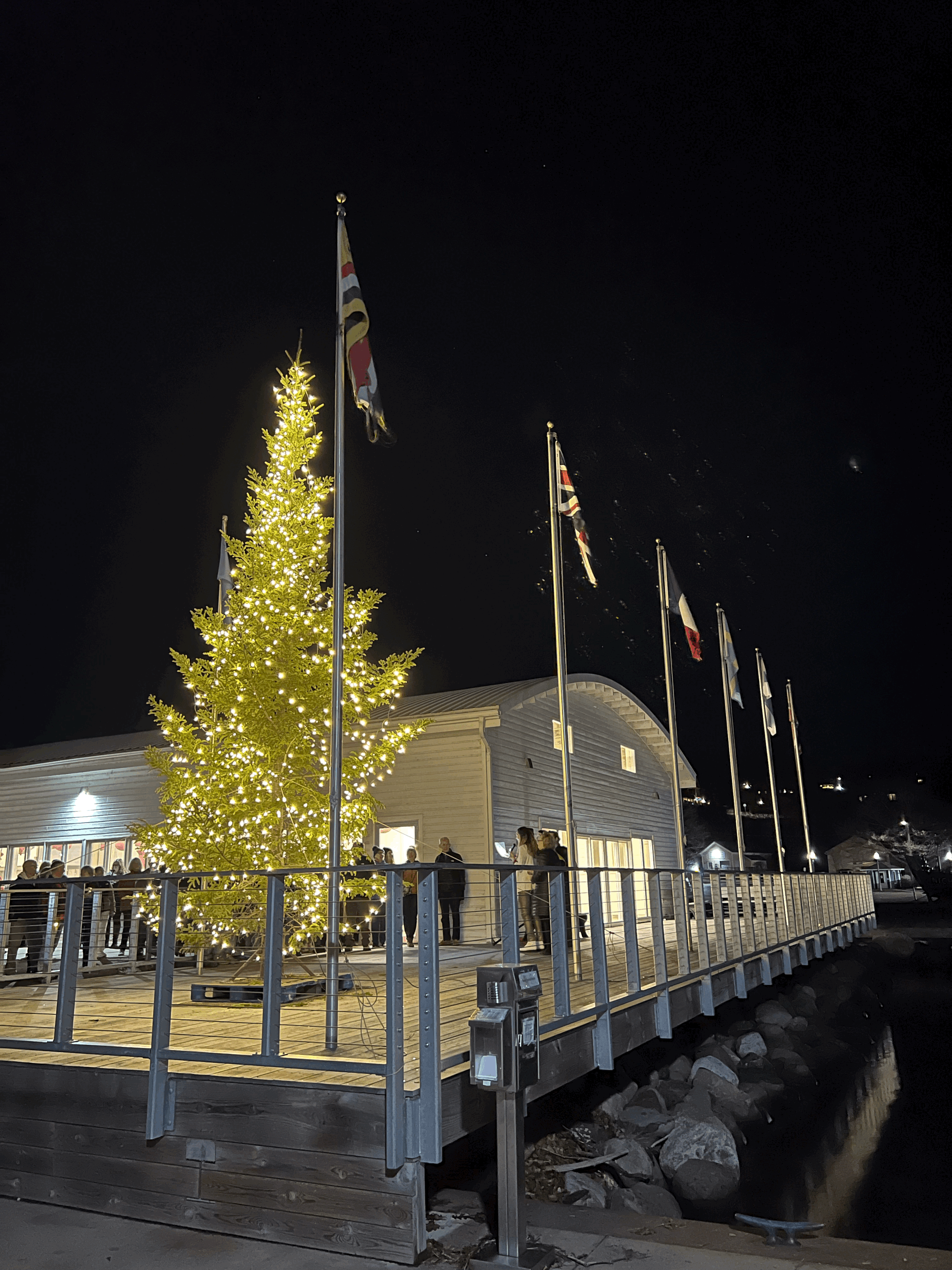 Holiday Tree Lighting