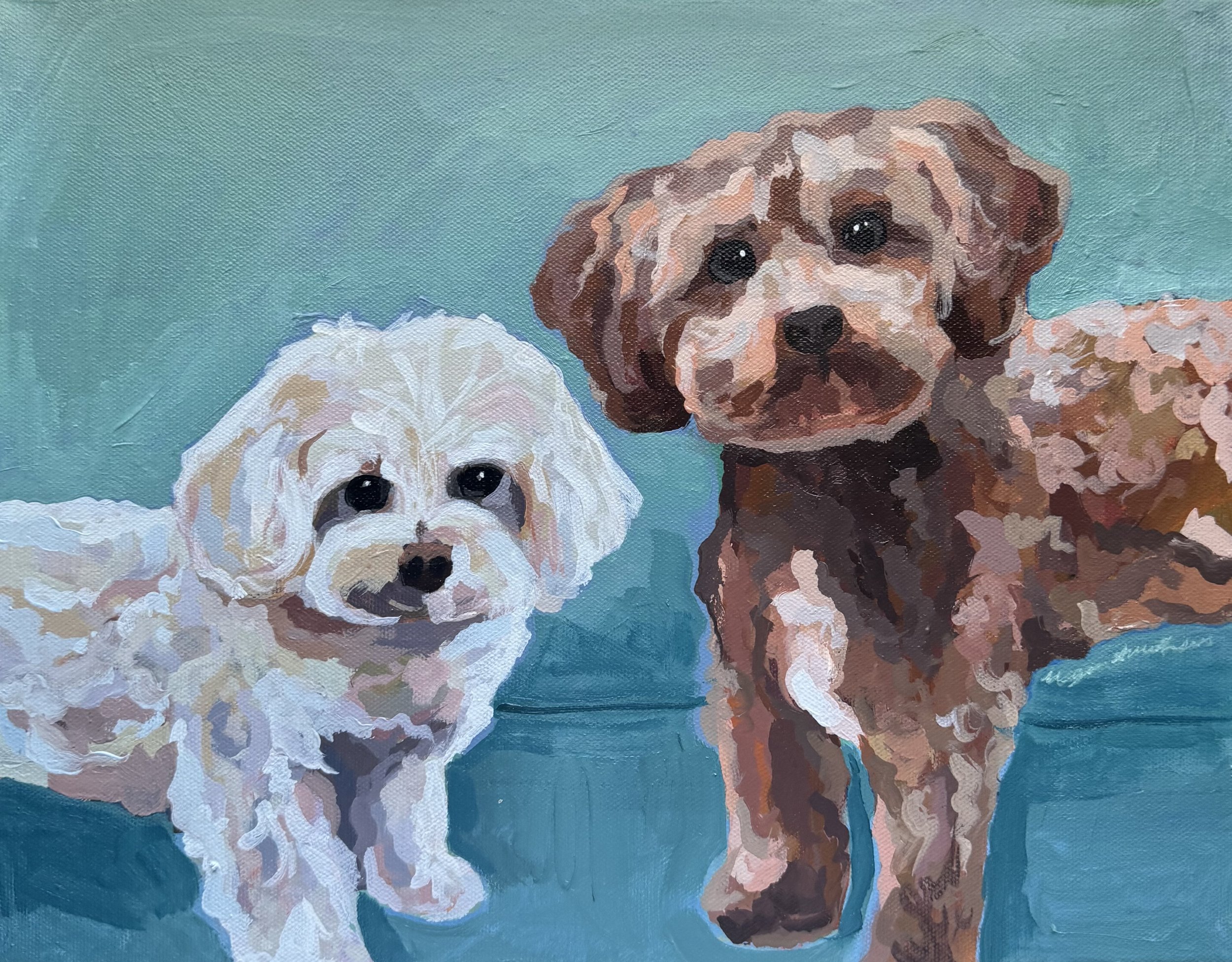 Pet Portraits