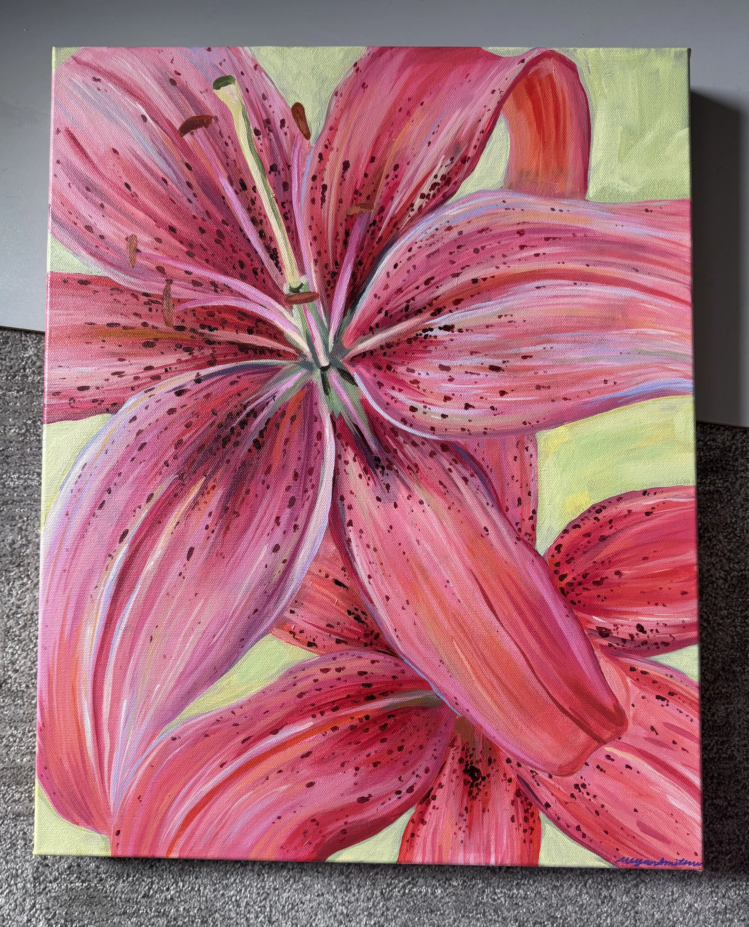 Lily, 16x20