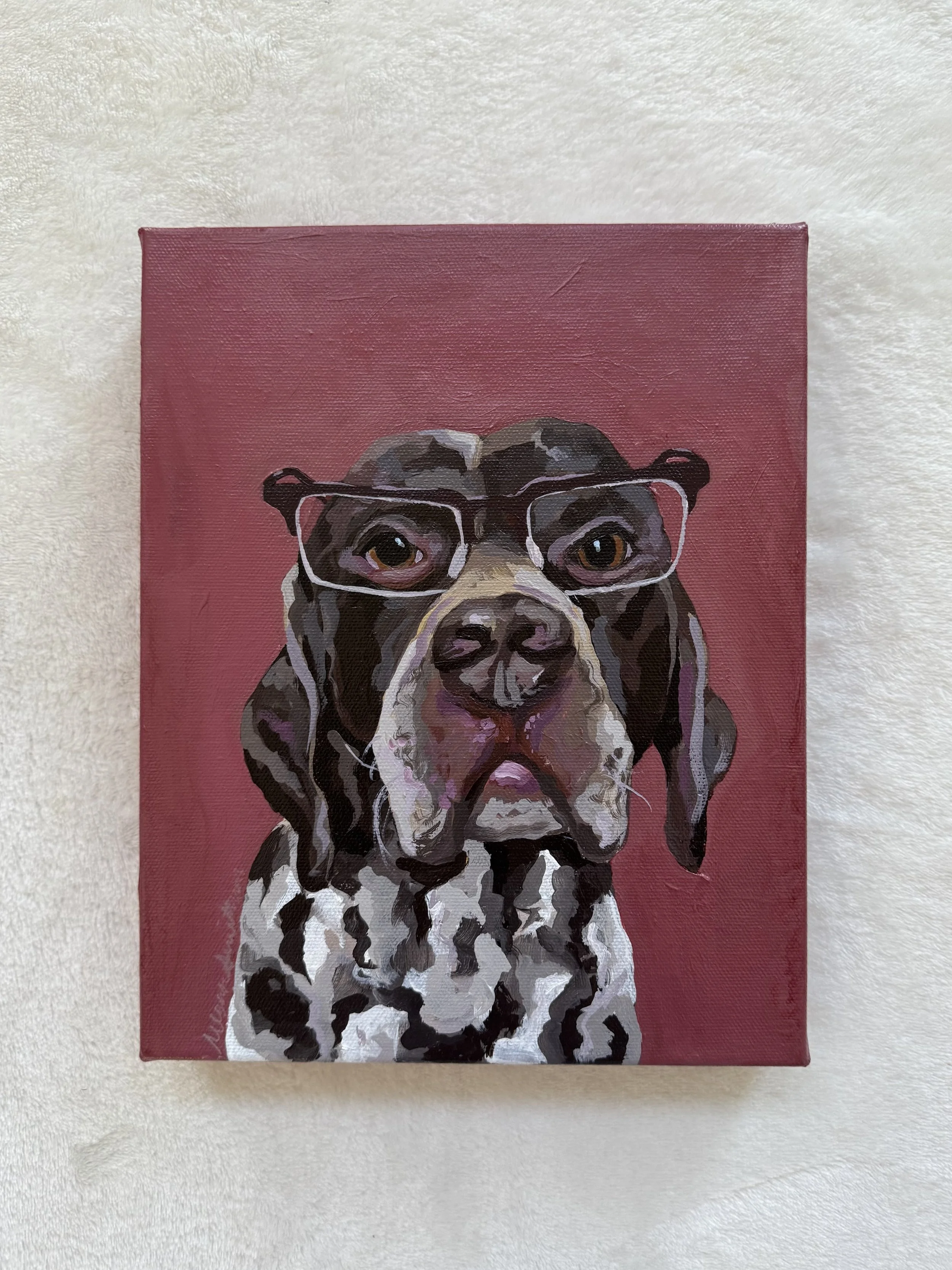 Pet Portraits