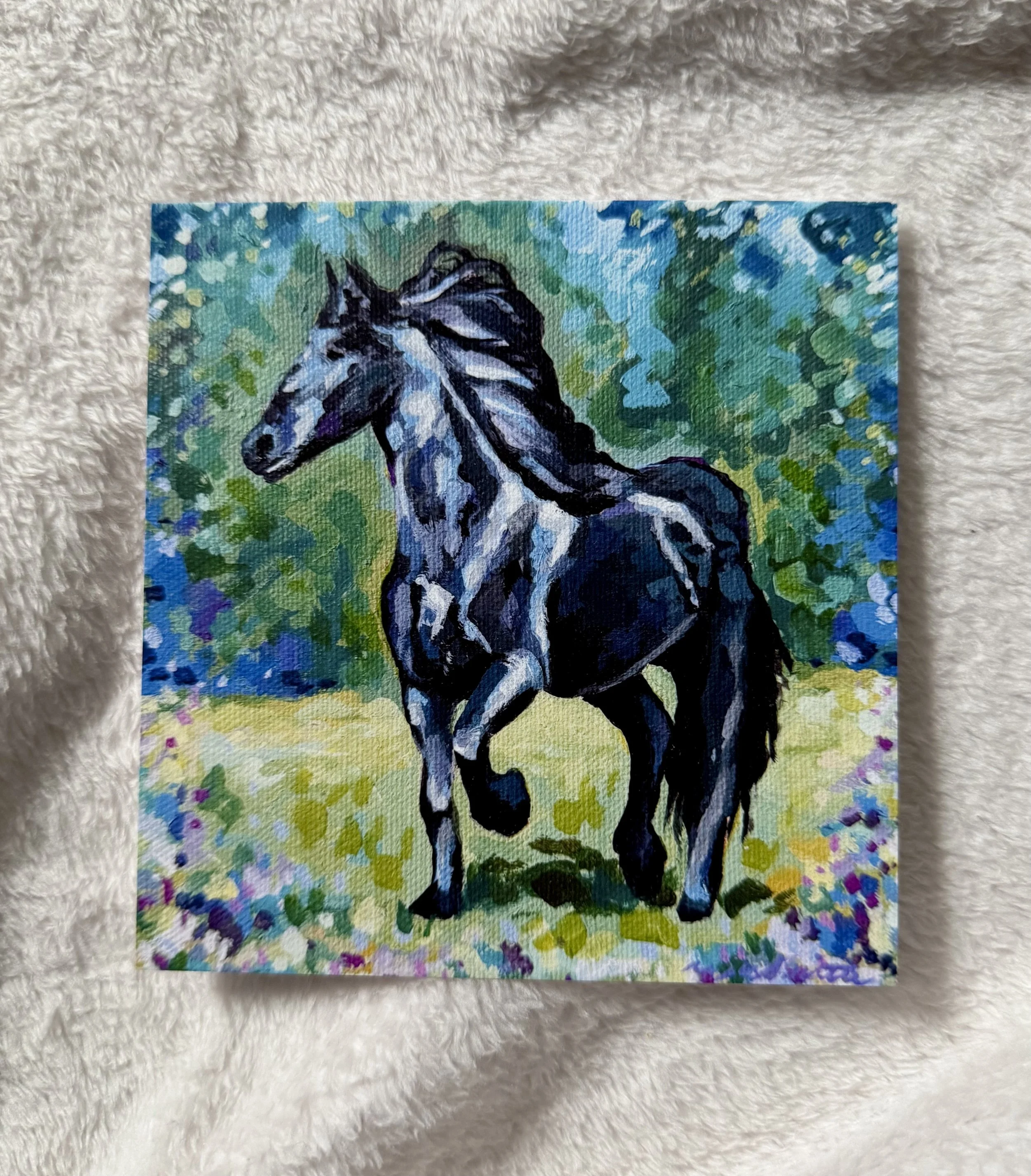 Black Horse, 5x5 print