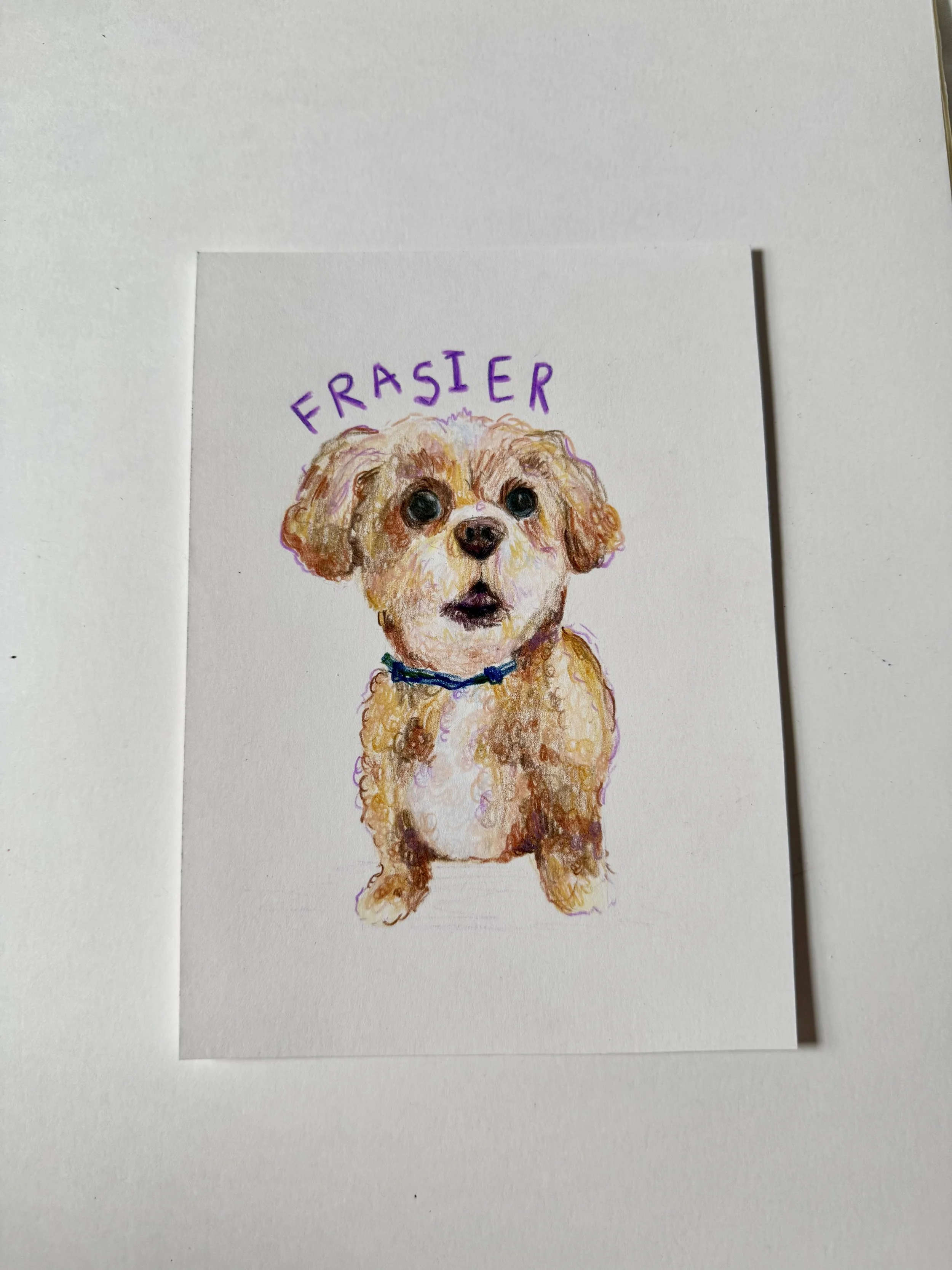 5x7 Pet Portrait
