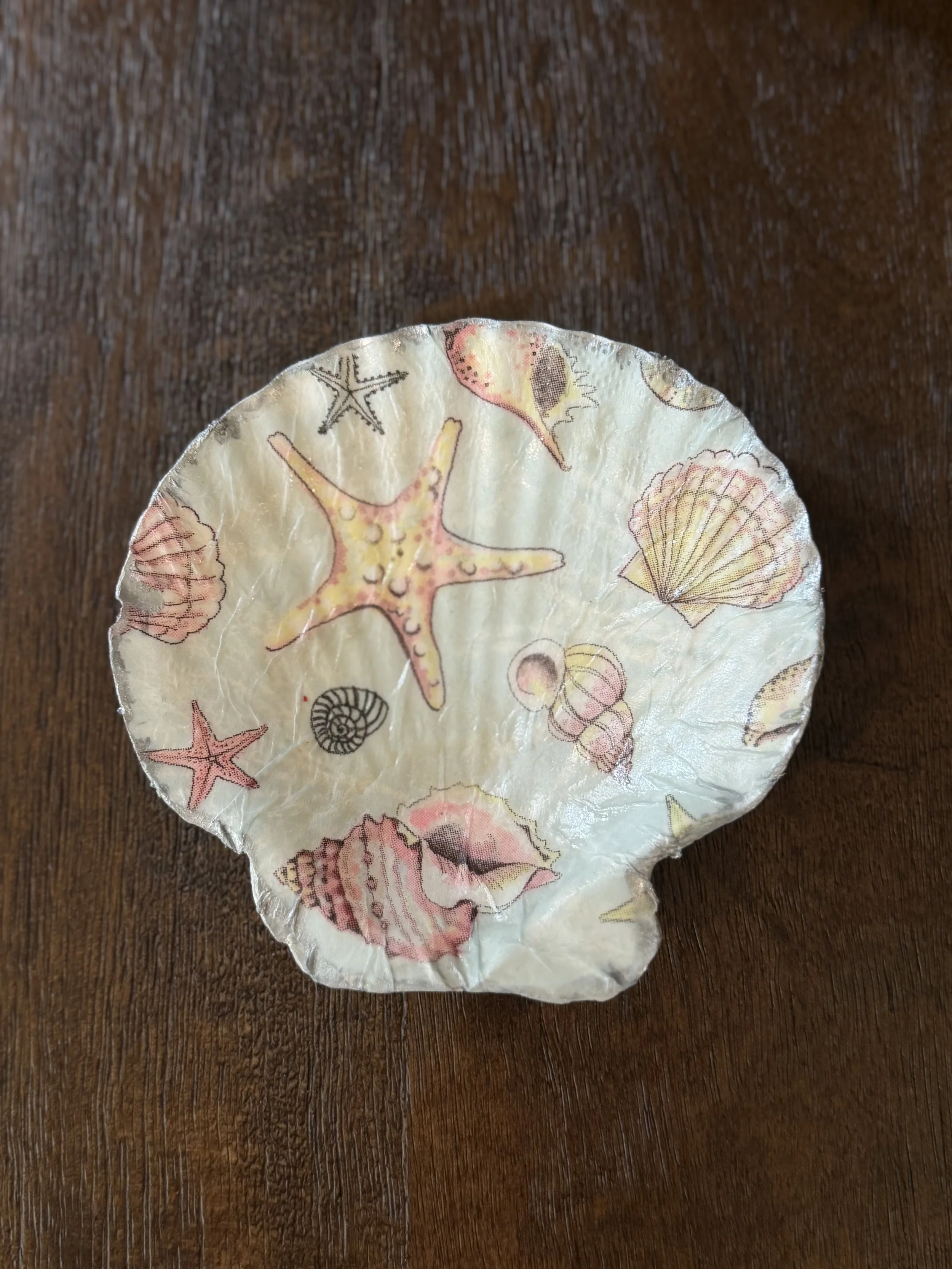 Pink Seashell Shell