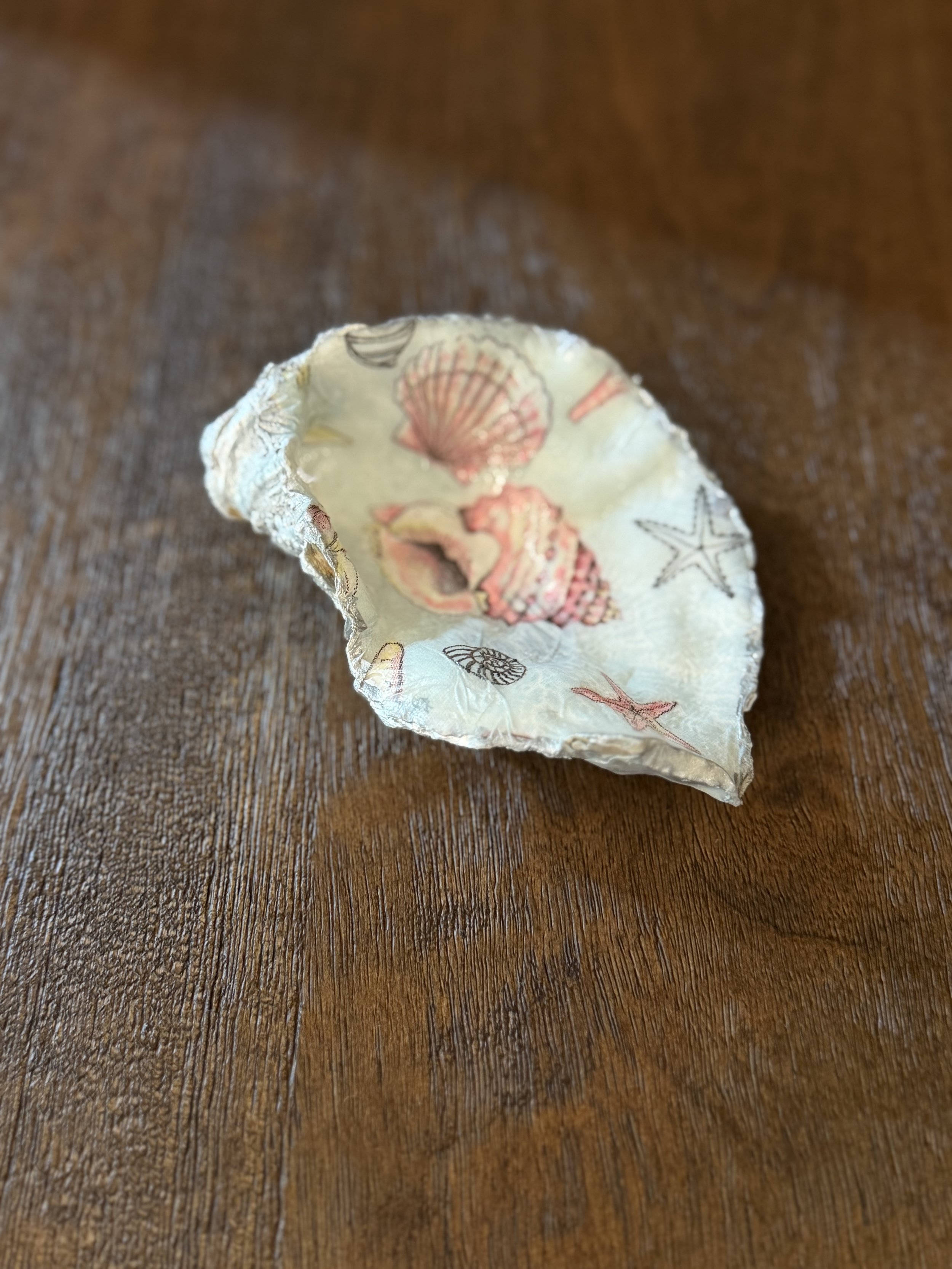 Soft Seashell Oyster Shell
