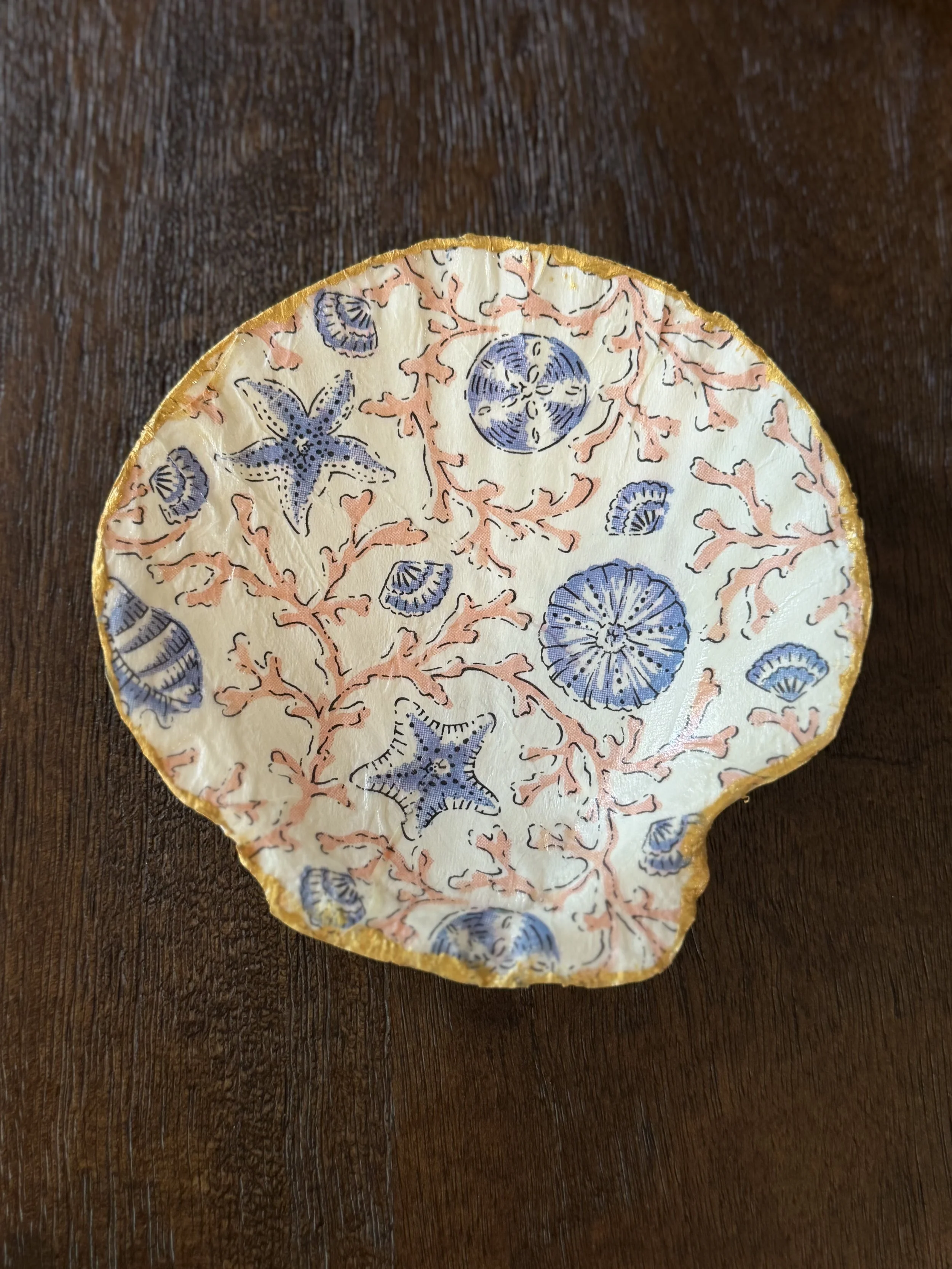 Coastal Shell