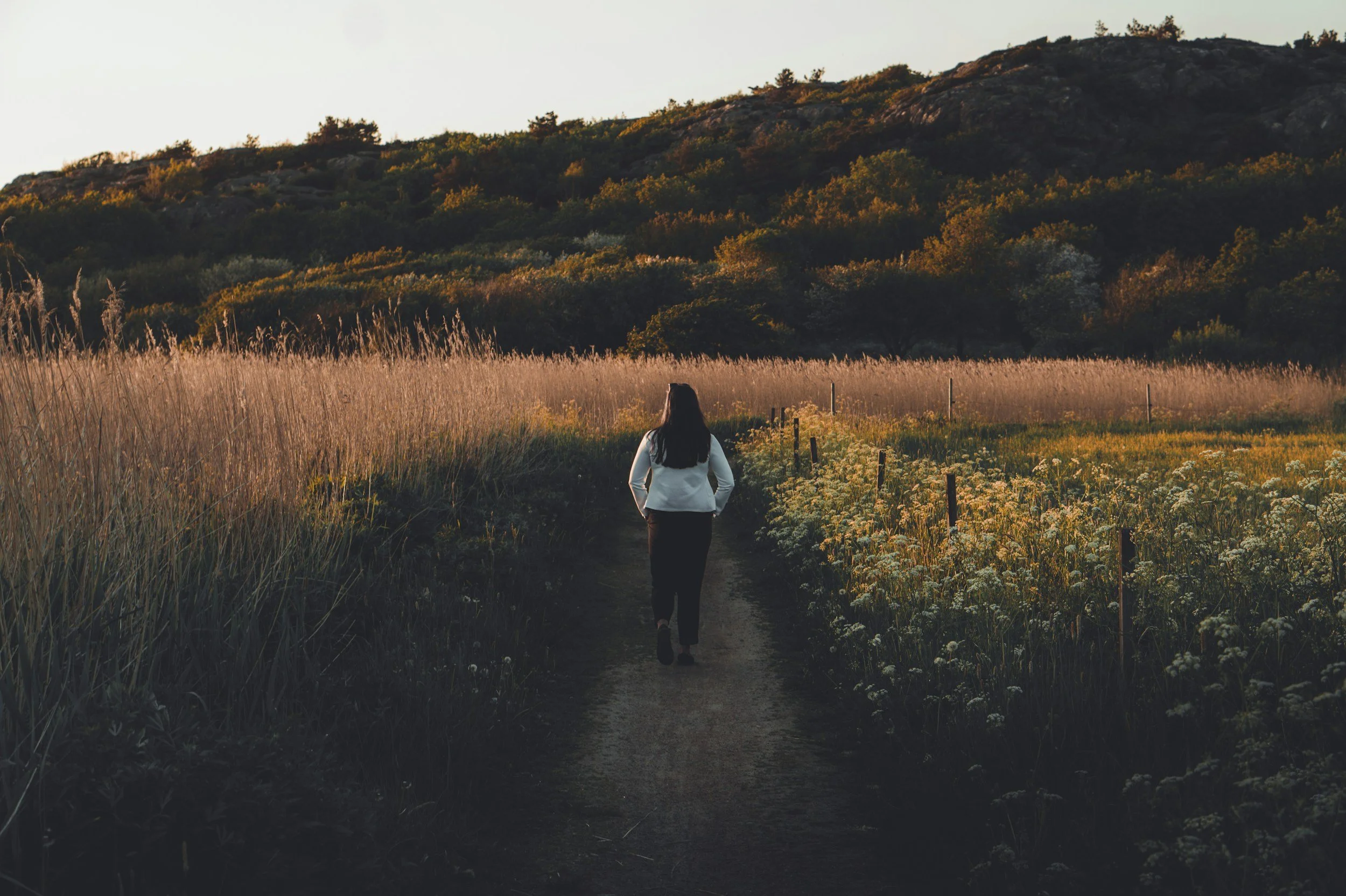 A woman walking along a path through a field of tall grass and flowers, with rolling hills and trees in the background during sunset.
