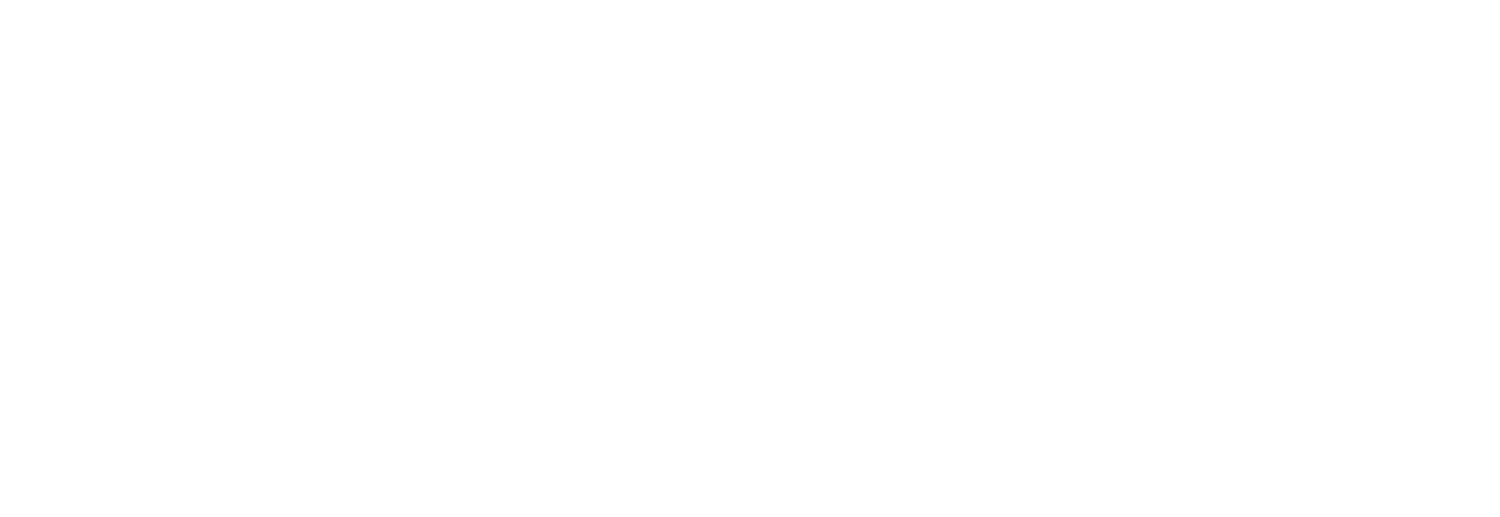 VDM Coaching