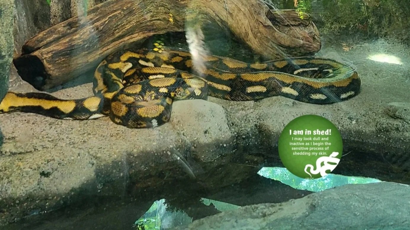 Philadelphia Zoo