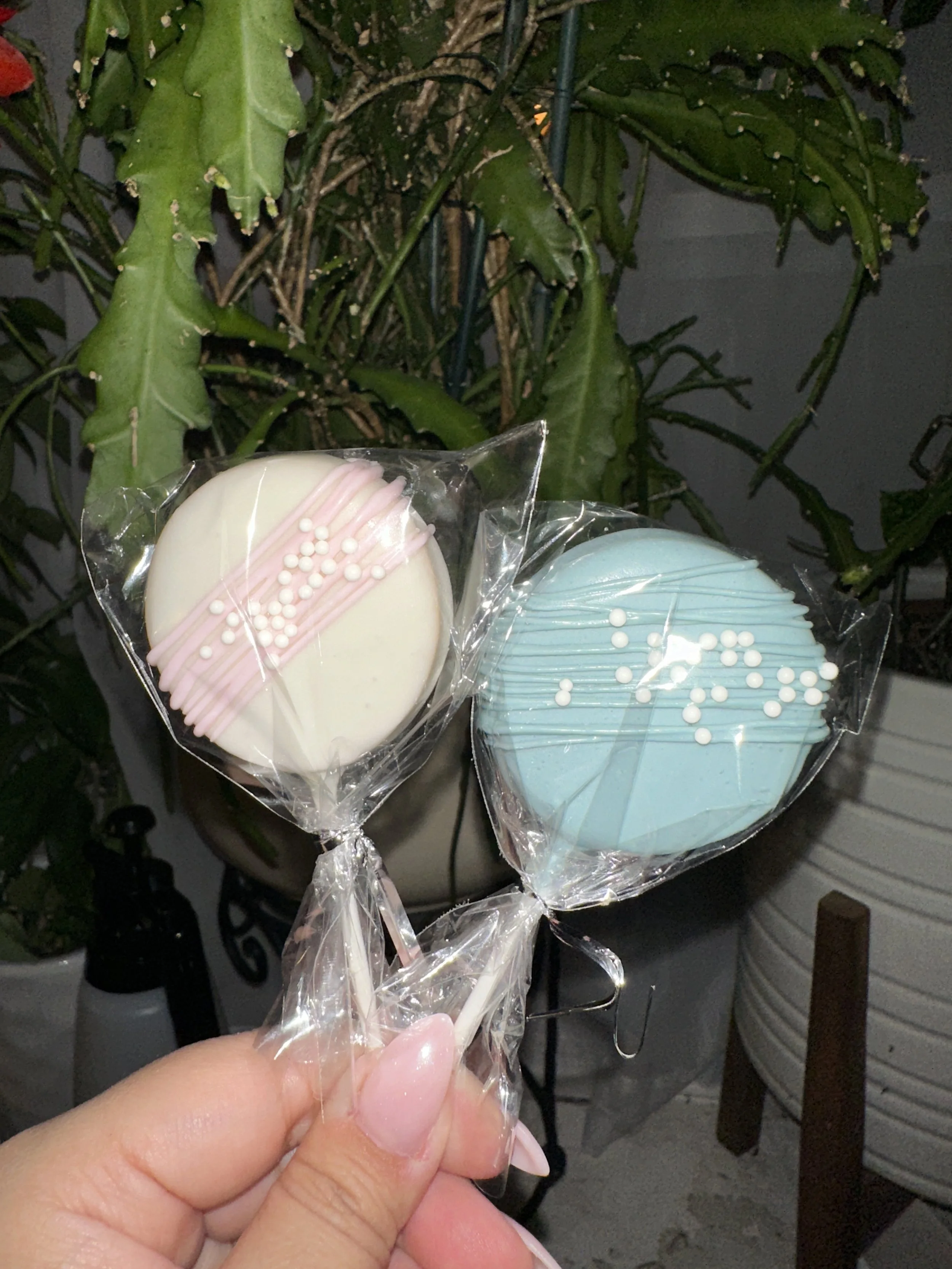 Two large, round lollipops in white and light blue, wrapped in clear plastic and decorated with pink and white sprinkles, held in a person's hand with a green plant in the background.