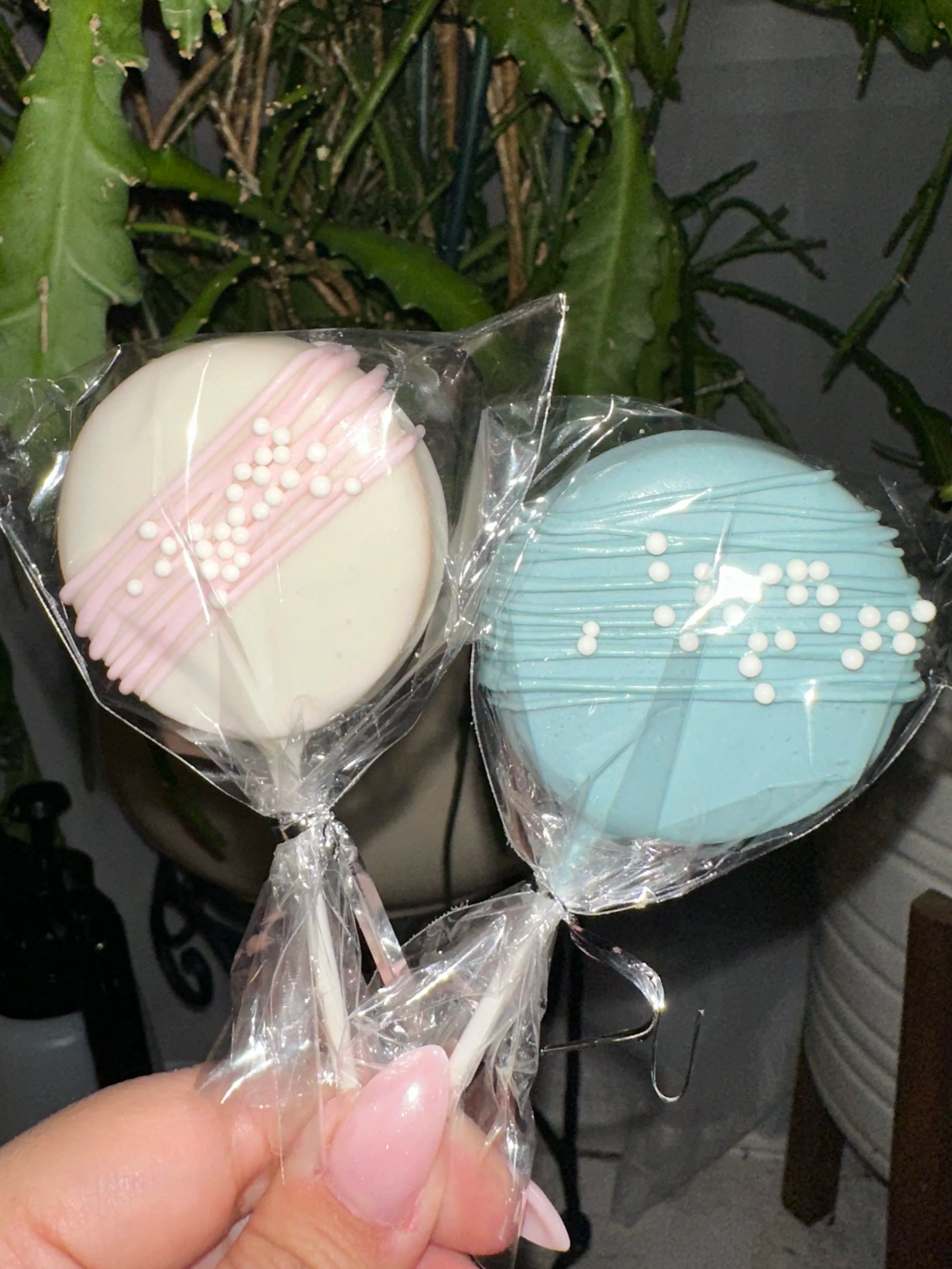 Two round, pastel-colored lollipops, one white with pink drizzle and white sprinkles, and the other blue with blue drizzle and white sprinkles, wrapped in clear plastic and held by a person's hand against a background of green plants.