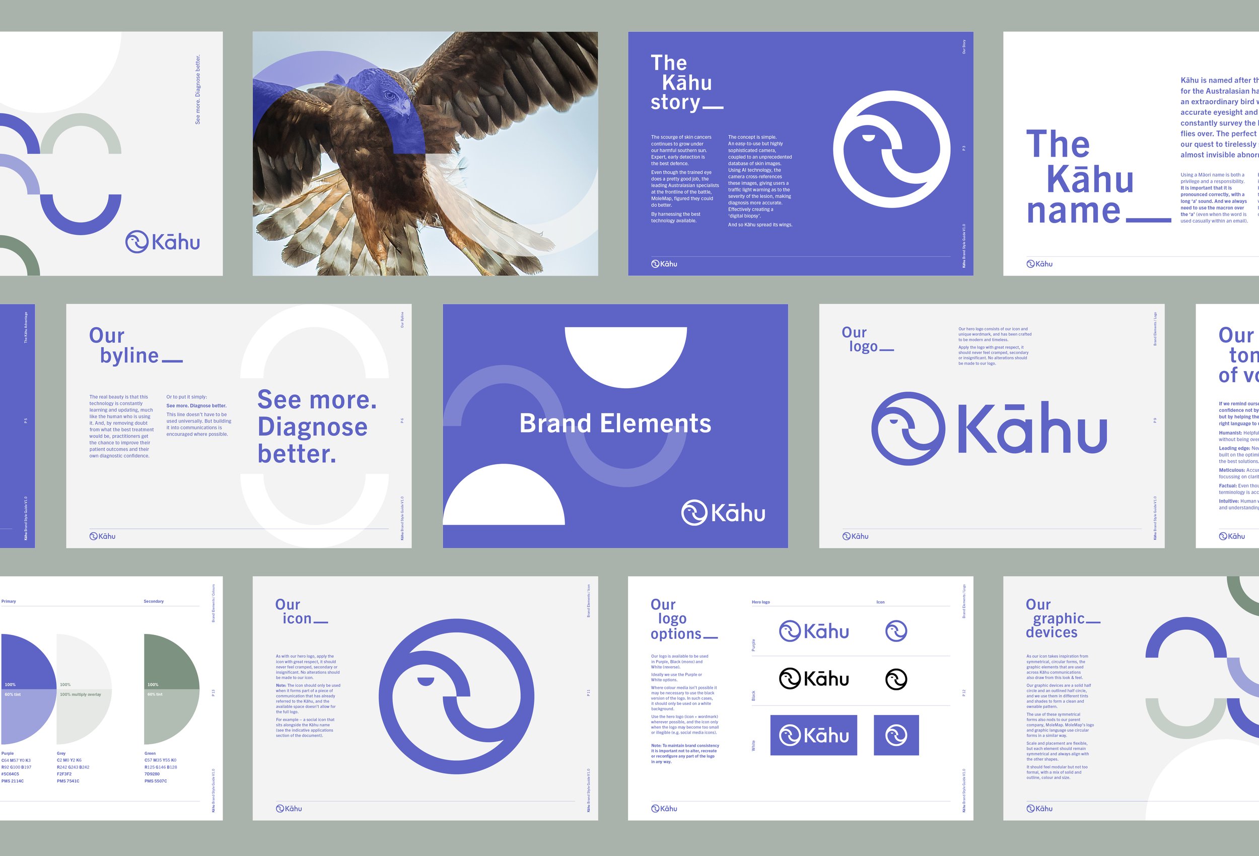 A brochure about the Kāhu bird, featuring images and text discussing its story, features, and brand elements with a blue and white color scheme.