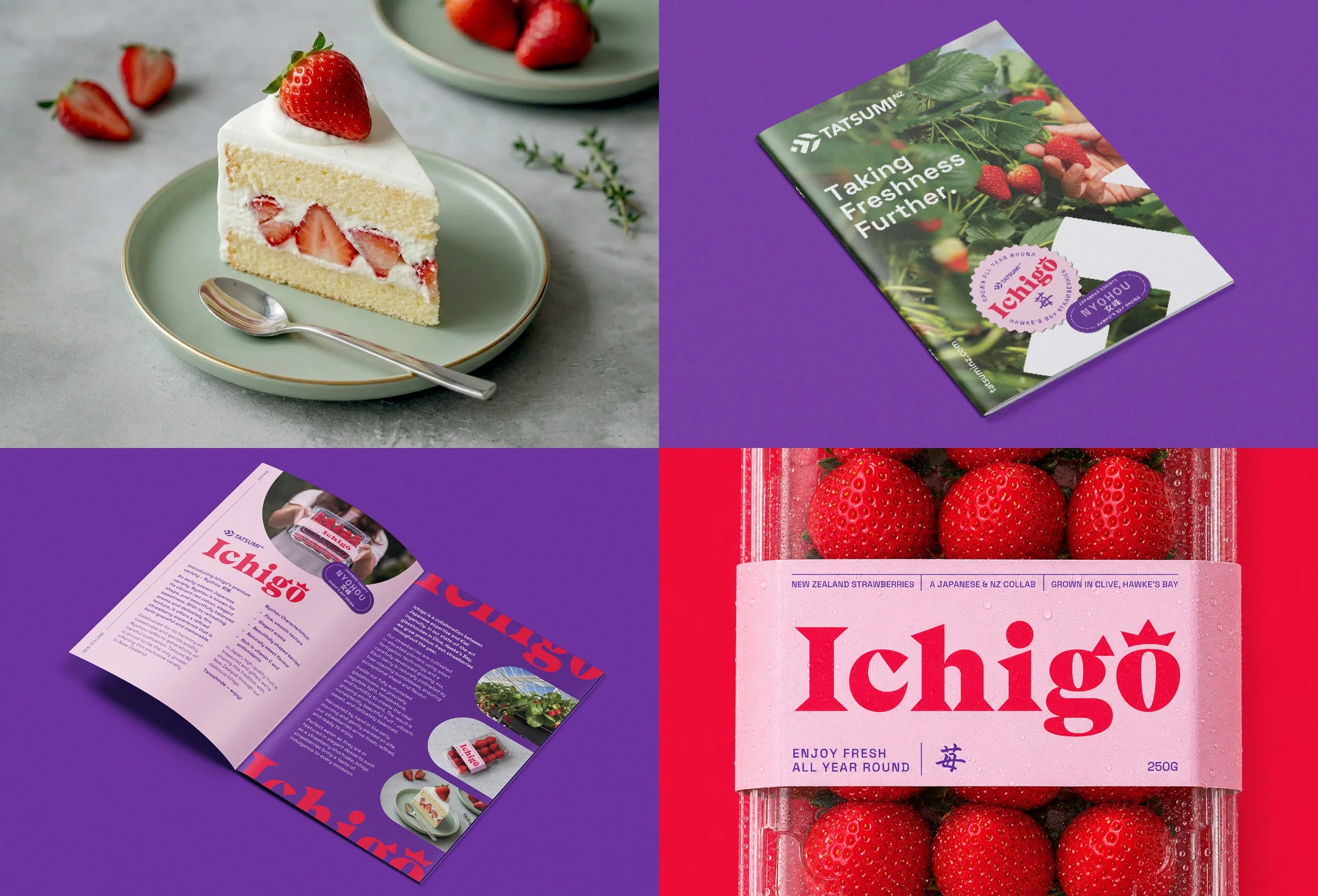 A close-up of a slice of strawberry shortcake on a plate with fresh strawberries on top, on a light gray surface. The image also shows strawberry packaging and promotional materials with strawberries and text about strawberry varieties and brand information.