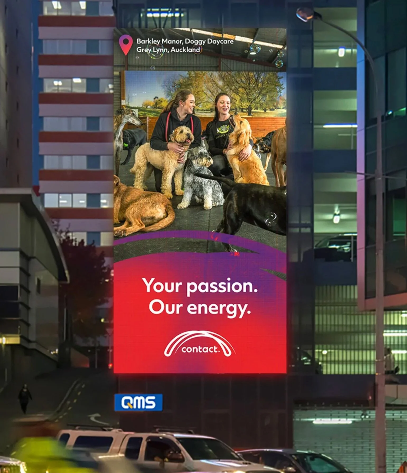 A large digital billboard on a building at night displays an advertisement for a dog daycare center with the text: "Your passion. Our energy." The billboard features a photo of two women sitting with various dogs, including a Golden Retriever, Grey Lynn, Auckland. The background shows the sky and trees. The street below has parked cars and a person in a yellow vest walking.