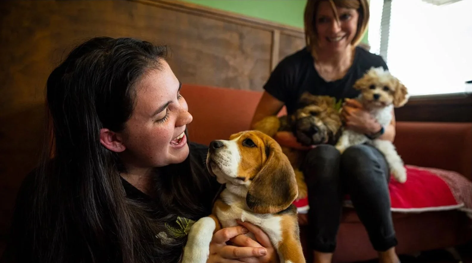 Two women are sitting on a couch, each holding a small dog. The woman on the left has long dark hair, and the woman on the right has short light hair. The woman on the left is smiling at a beagle puppy she is holding, and the woman on the right is smiling while holding a black and white puppy. They are in a cozy room with wooden walls and a red cushion on the couch.