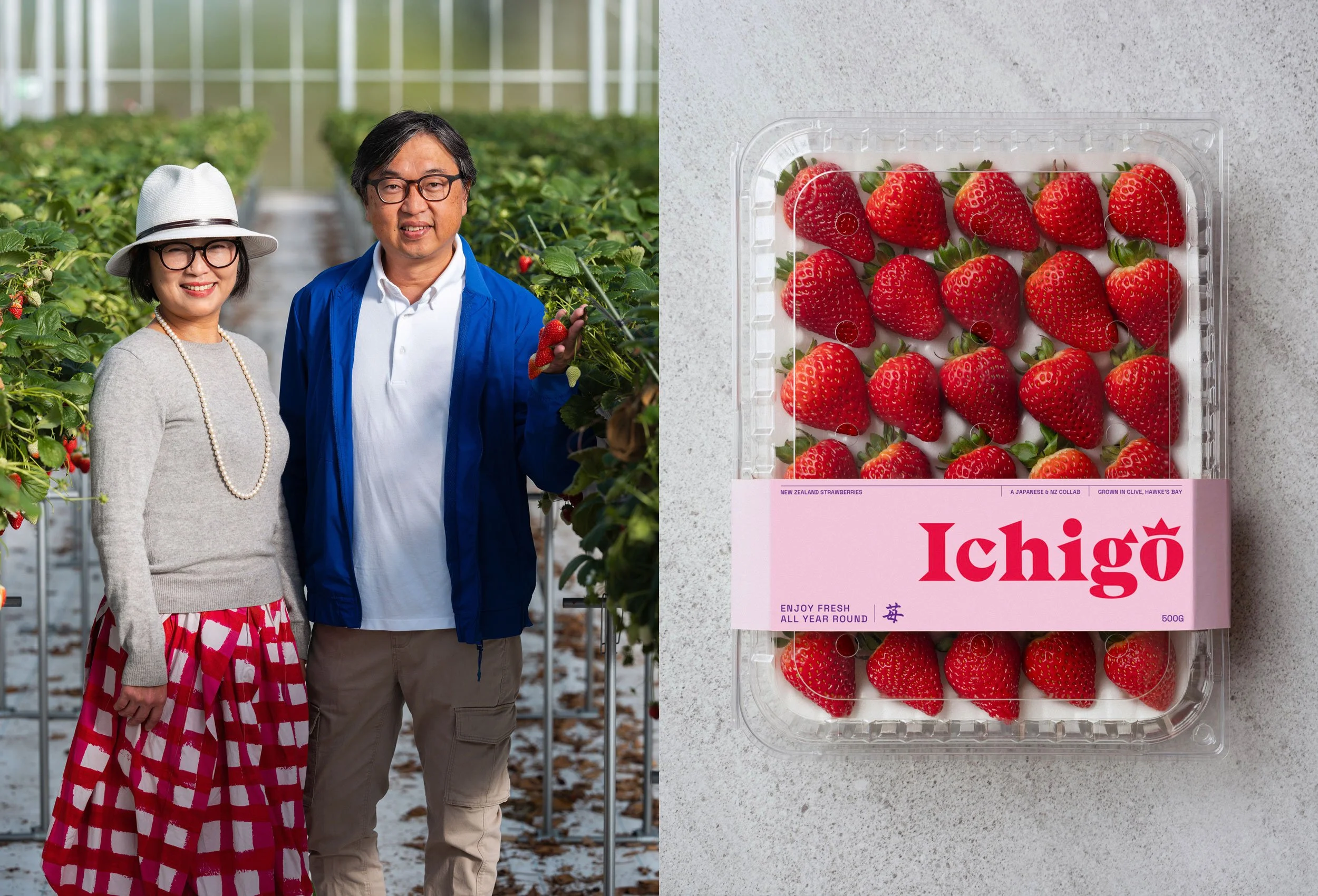 A woman and a man standing in a strawberry farm amid rows of strawberry plants inside a greenhouse. The woman is smiling and wearing glasses, a white hat, a gray sweater, a pearl necklace, and a colorful skirt. The man, also smiling and wearing glasses, is dressed in a blue jacket over a white shirt and khaki pants, holding a bunch of strawberries. To the right, there is a plastic package of strawberries with a pink label that reads "Ichigō," indicating they are fresh, year-round strawberries from Hokw's Bay, grown in Clive, New Zealand.