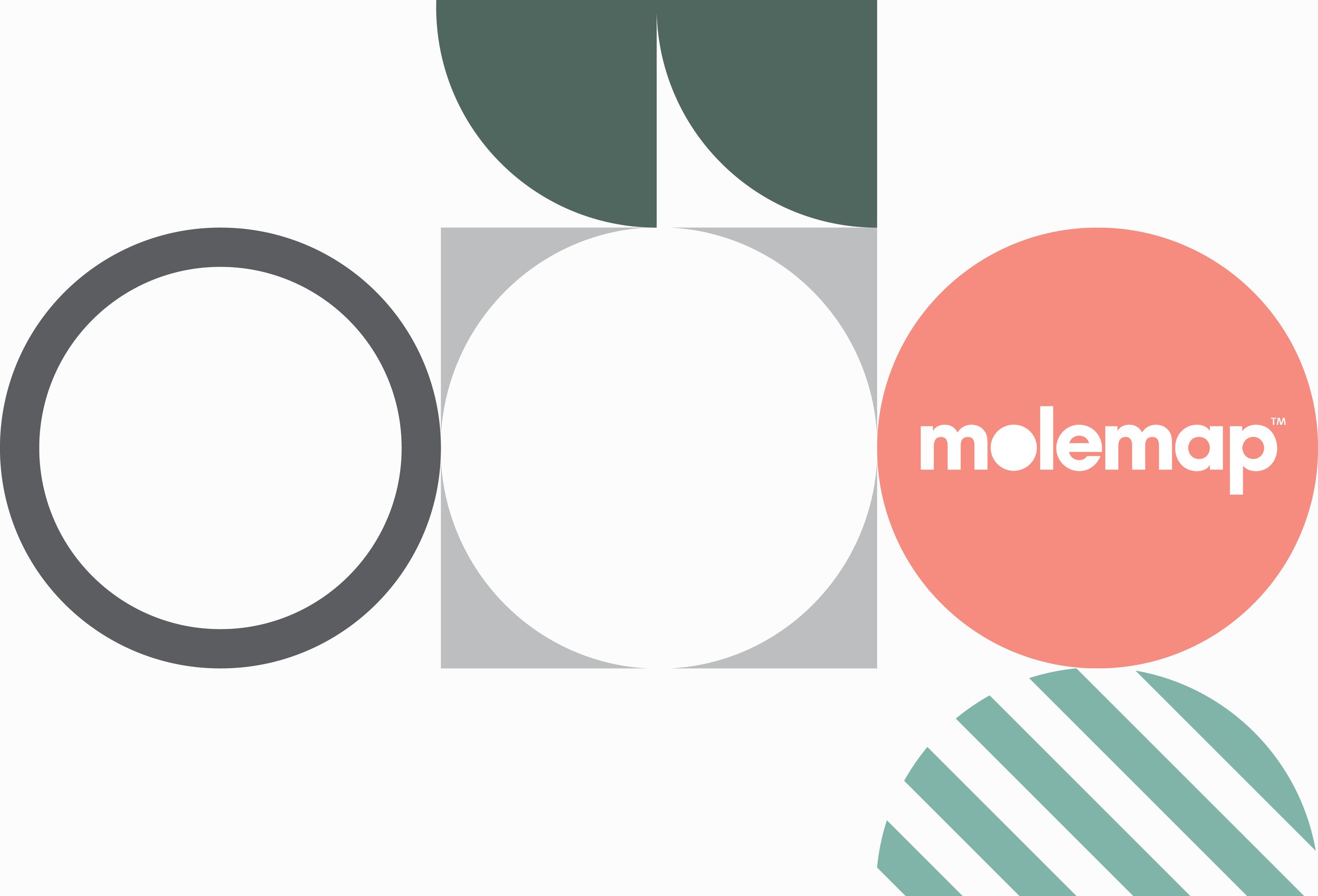 Colorful graphic with circles, triangles, and stripes, including the word "molemap" in white on a large red circle.