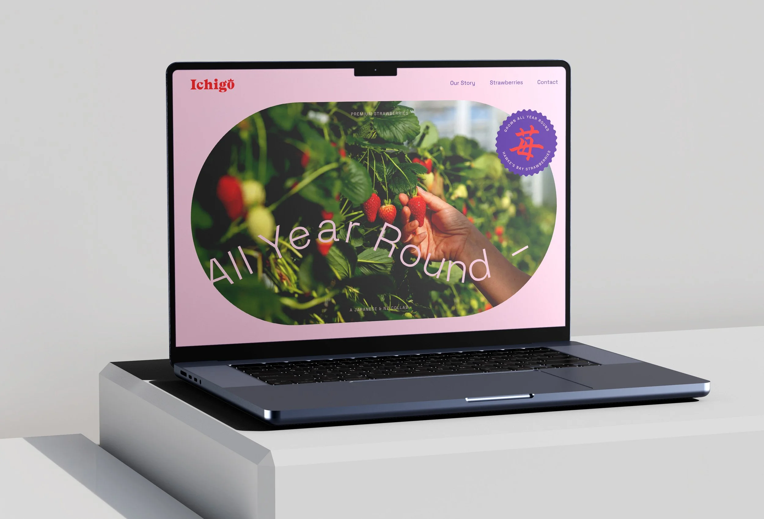 A laptop displaying a website about strawberries, showing a person picking strawberries in a field.