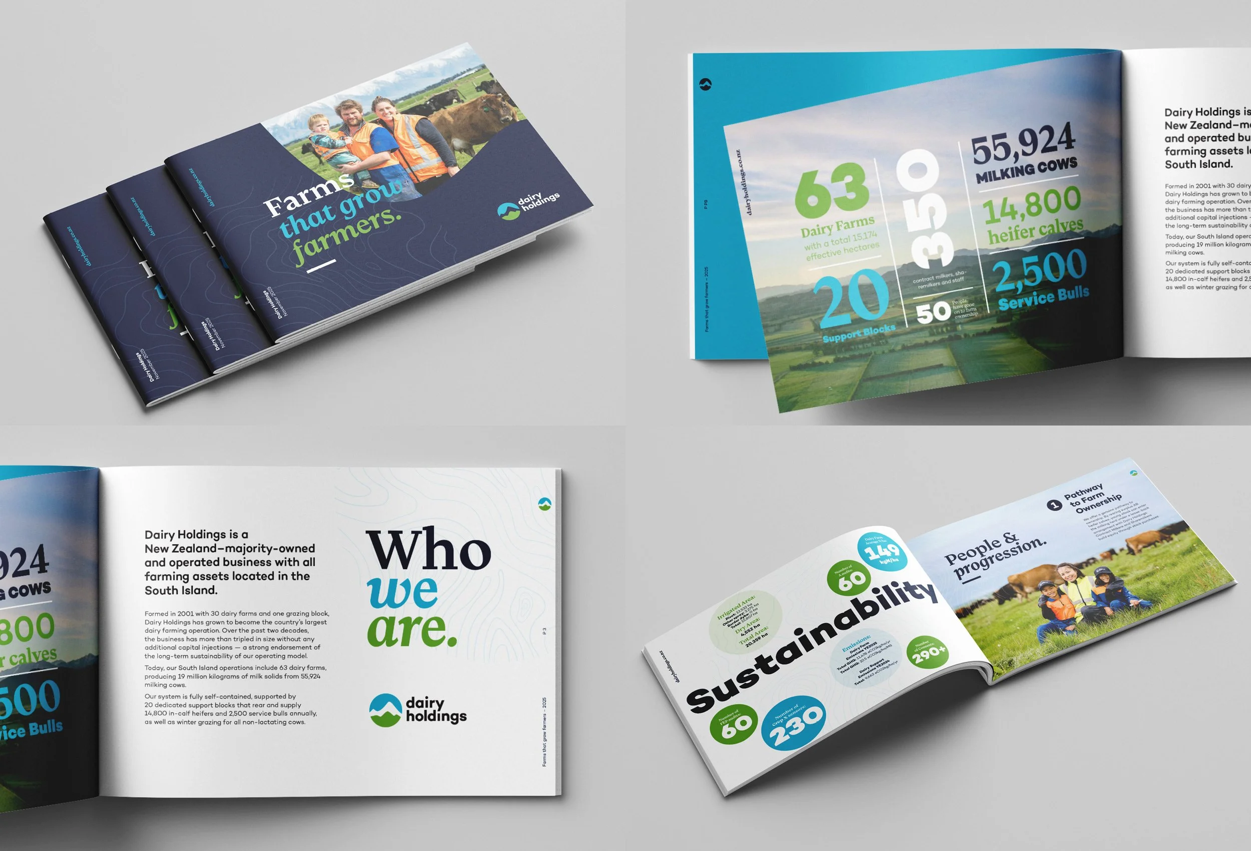 Open brochures and pamphlets for Dairy Holdings, showcasing farm statistics, images of farmers and cows, and sustainability information. The contact details and company logo are visible.