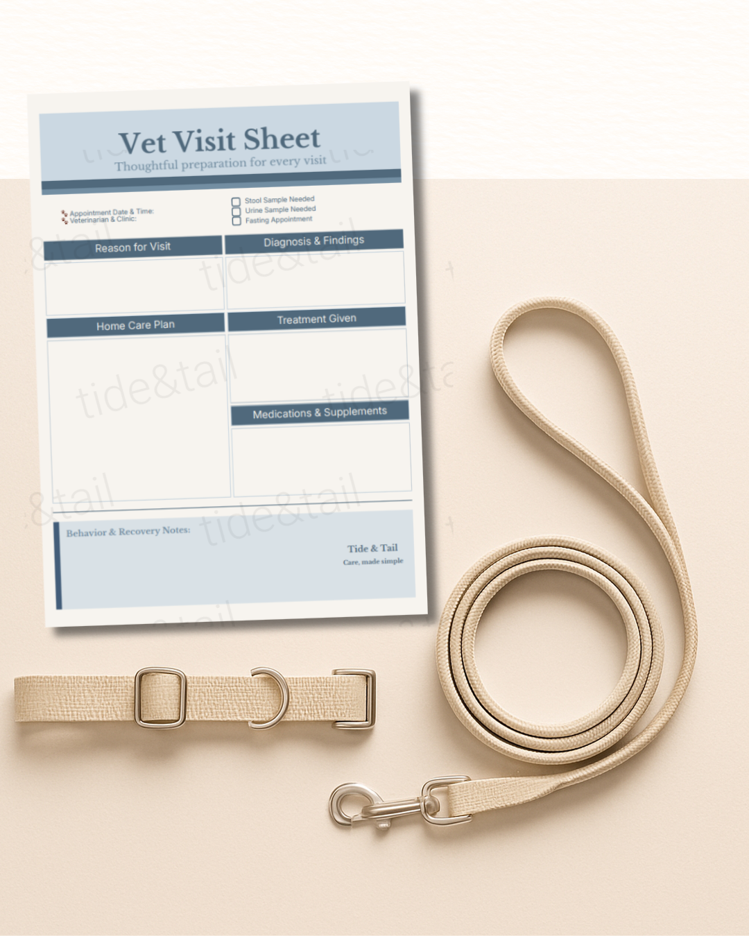 Vet Visit Sheet Printable | Dog Appointment Notes & Pet Health Record PDF