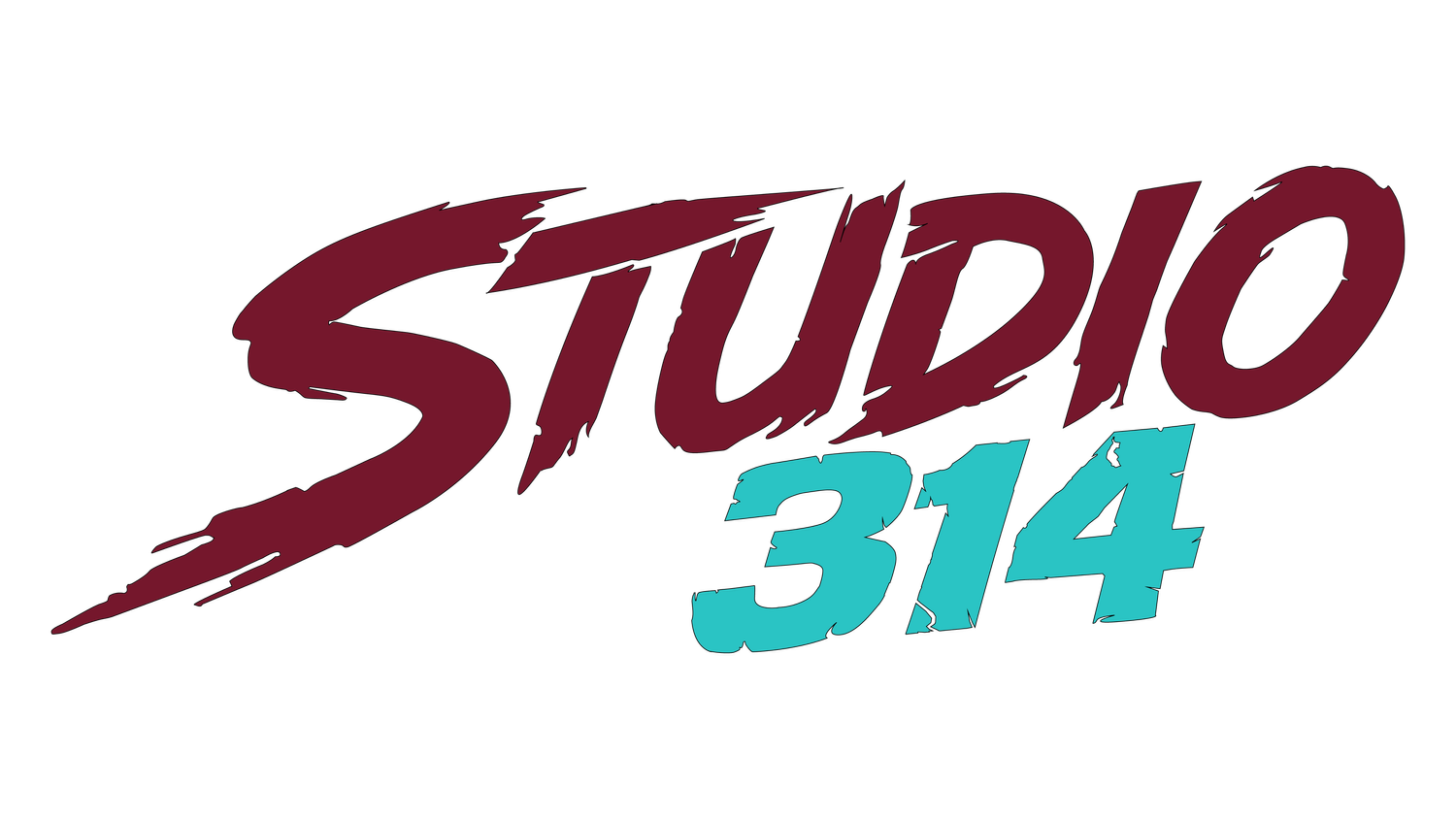 Studio 314, LLC Akron, OH