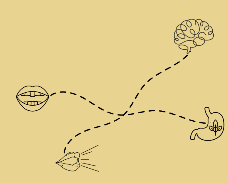 Illustration of a mind, mouth, and stomach connected by dashed lines, representing communication between thinking, speaking, and digestion.