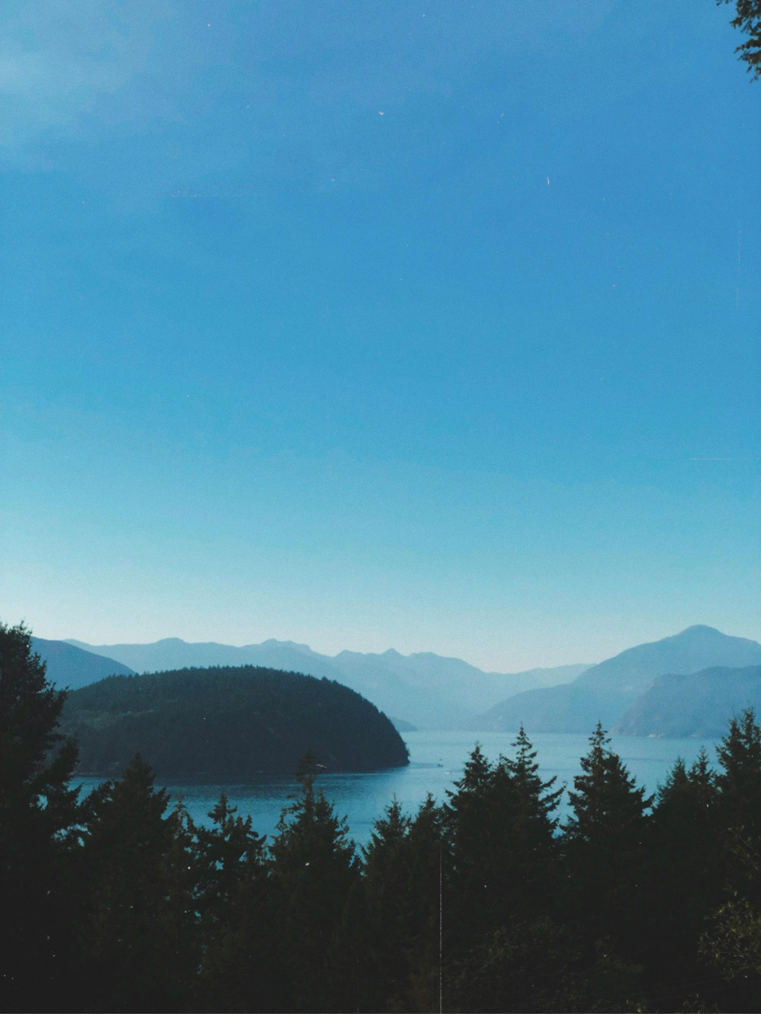 Understanding the Highly Sensitive Person (HSP) 
