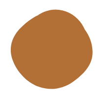 Close-up of a brown cookie with no visible toppings or fillings