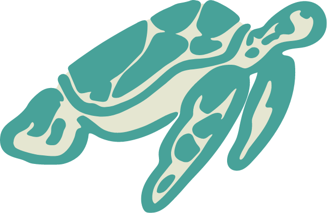 Stylized graphic of a frog with teal and cream coloring, facing downward.