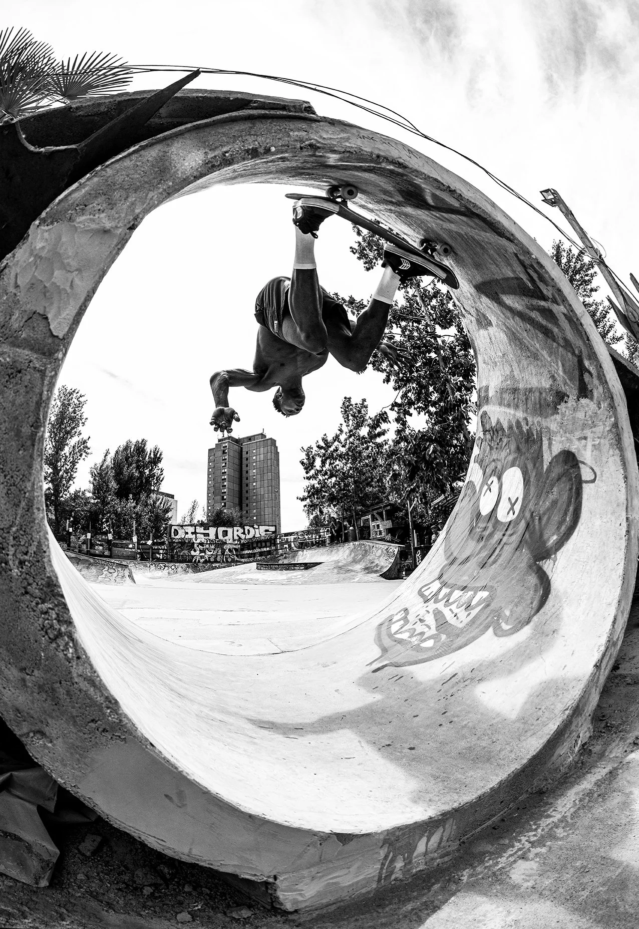 LeAndre doing the loop at DIY park 2.jpg