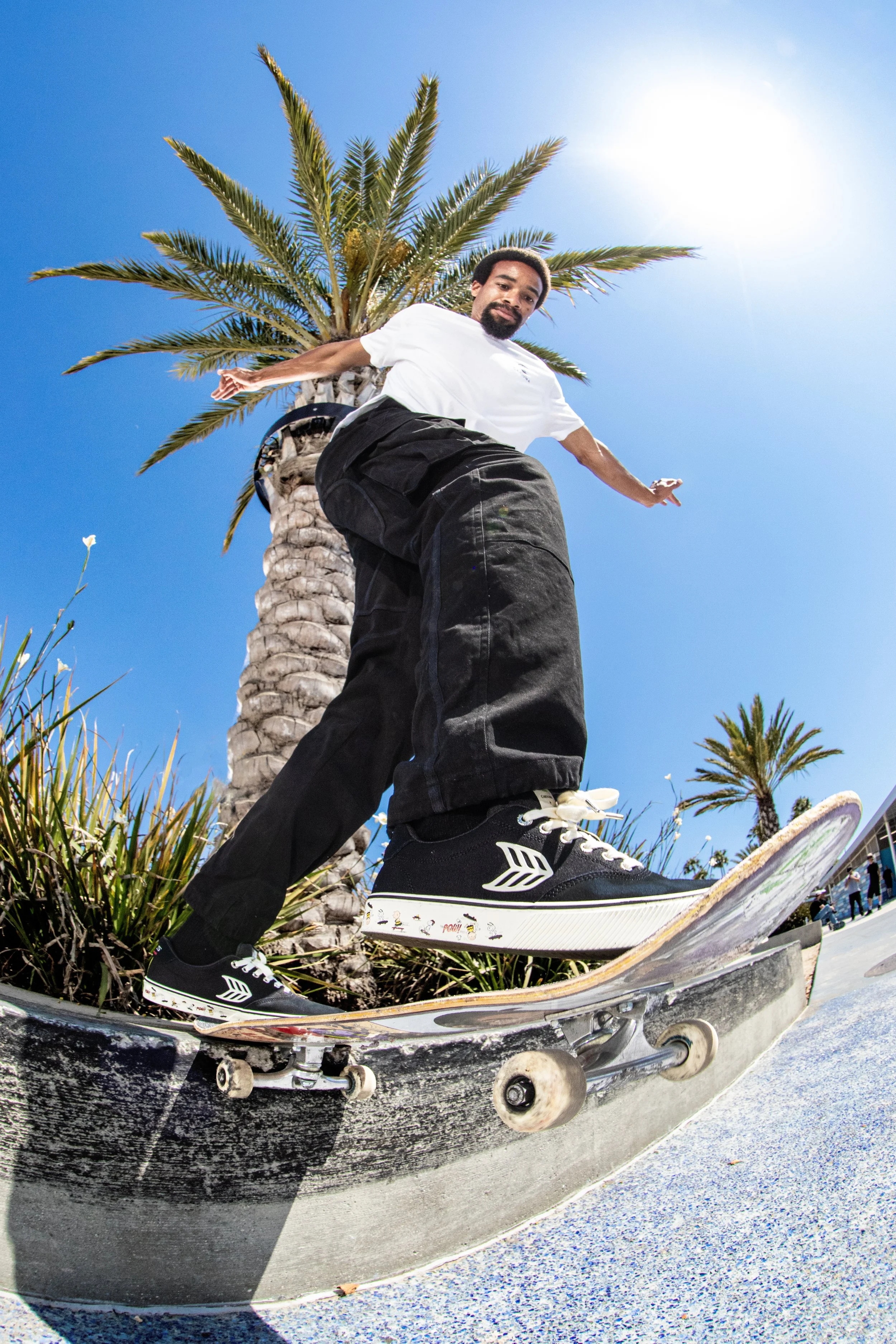 Tim bs tail ledge.JPG