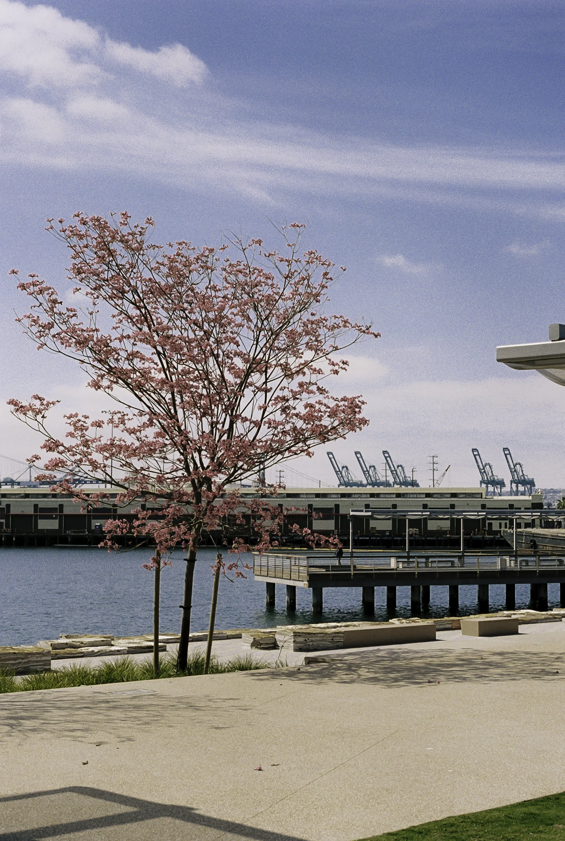 San Pedro pier.JPG