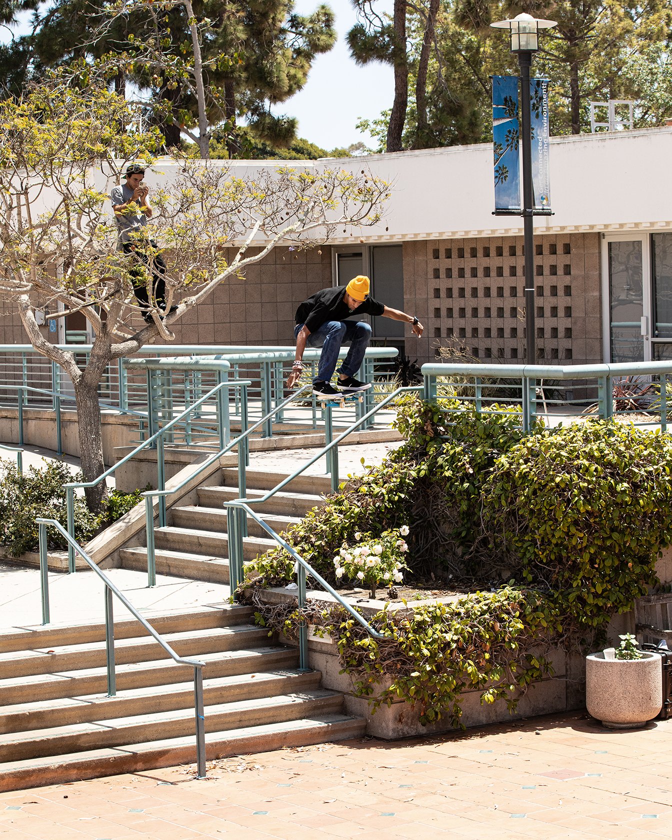 kechaud ollie.jpg