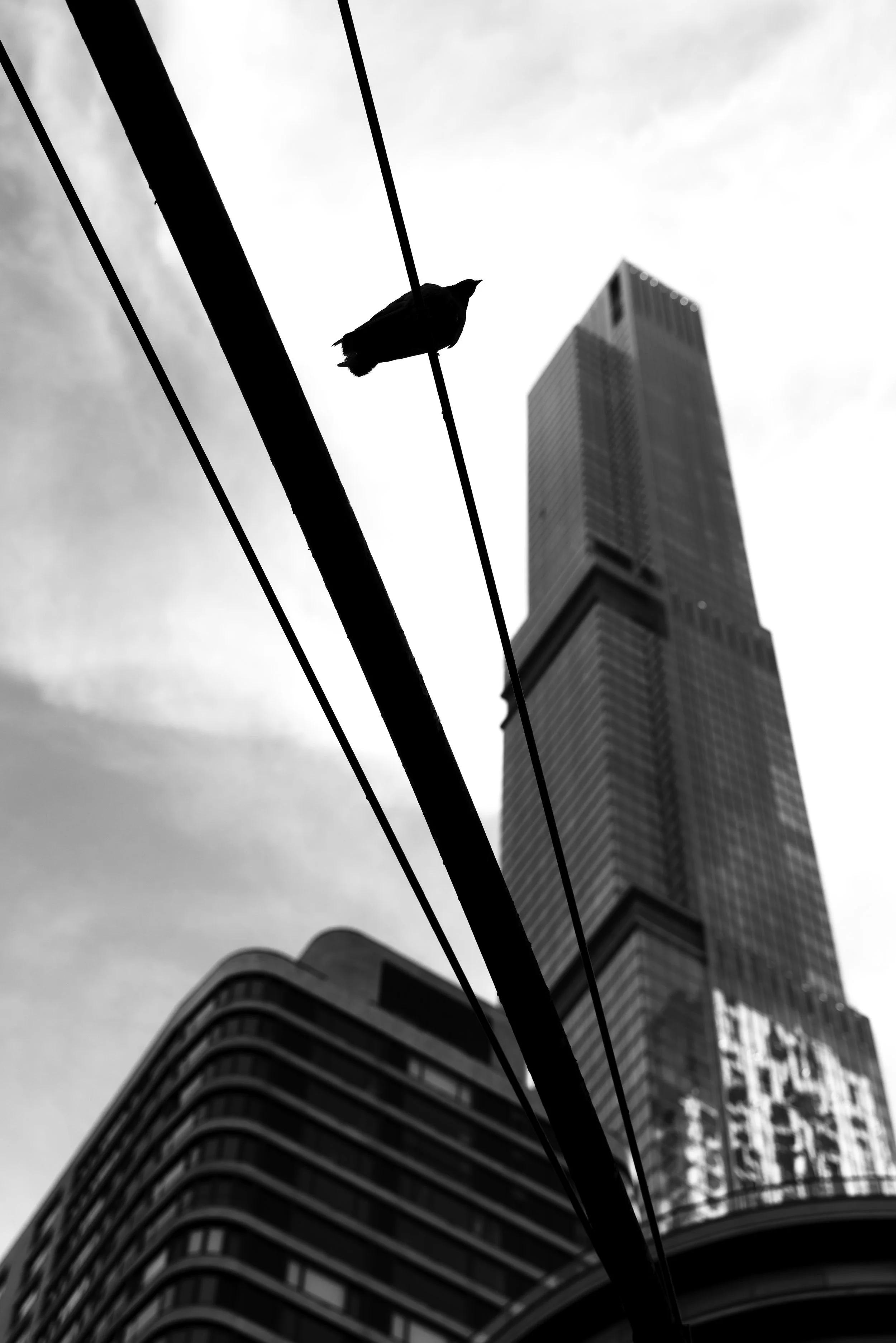 NYC building architecture 2.JPG