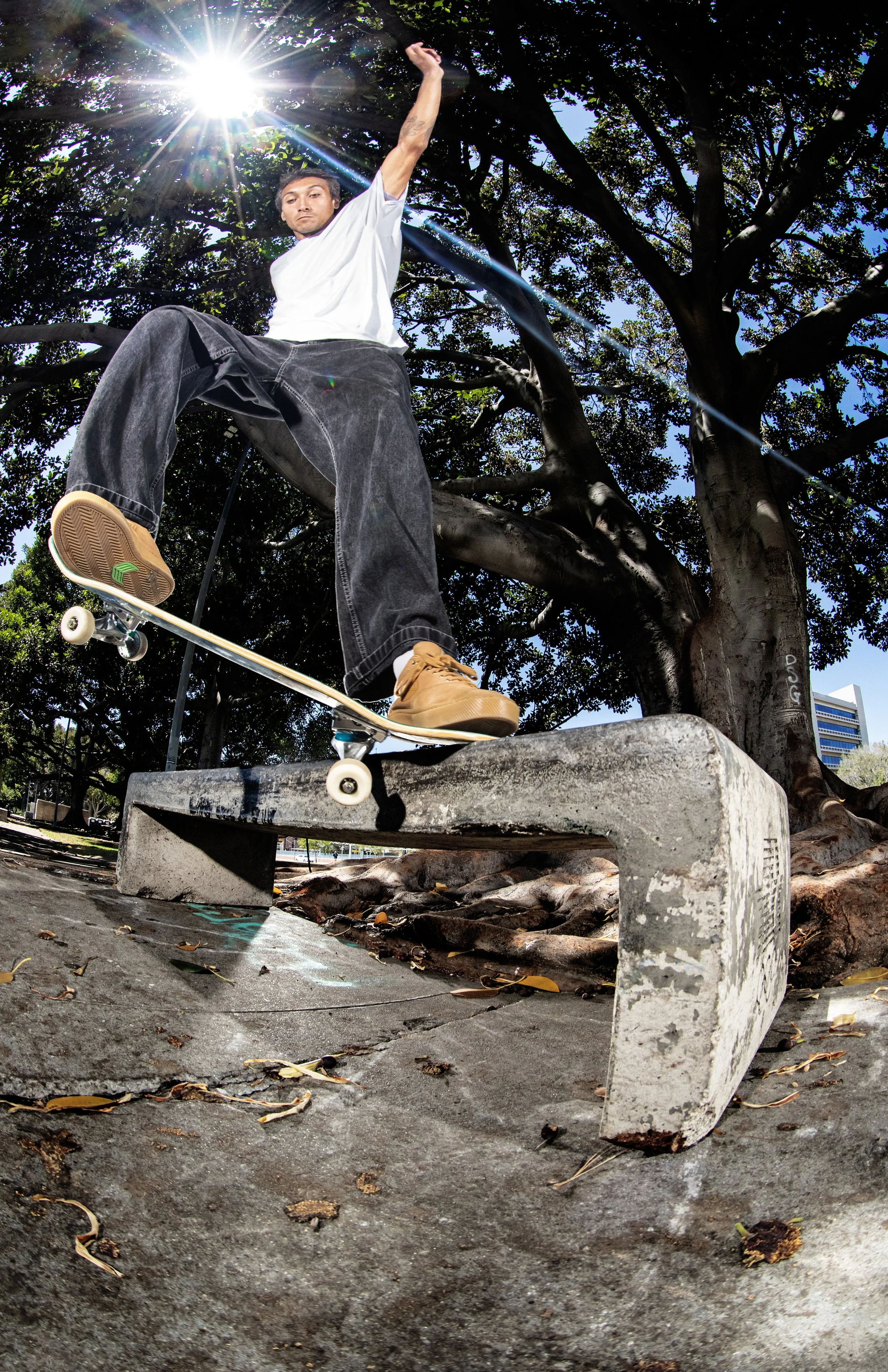 Cody sw crook bump to ledge 2.jpg