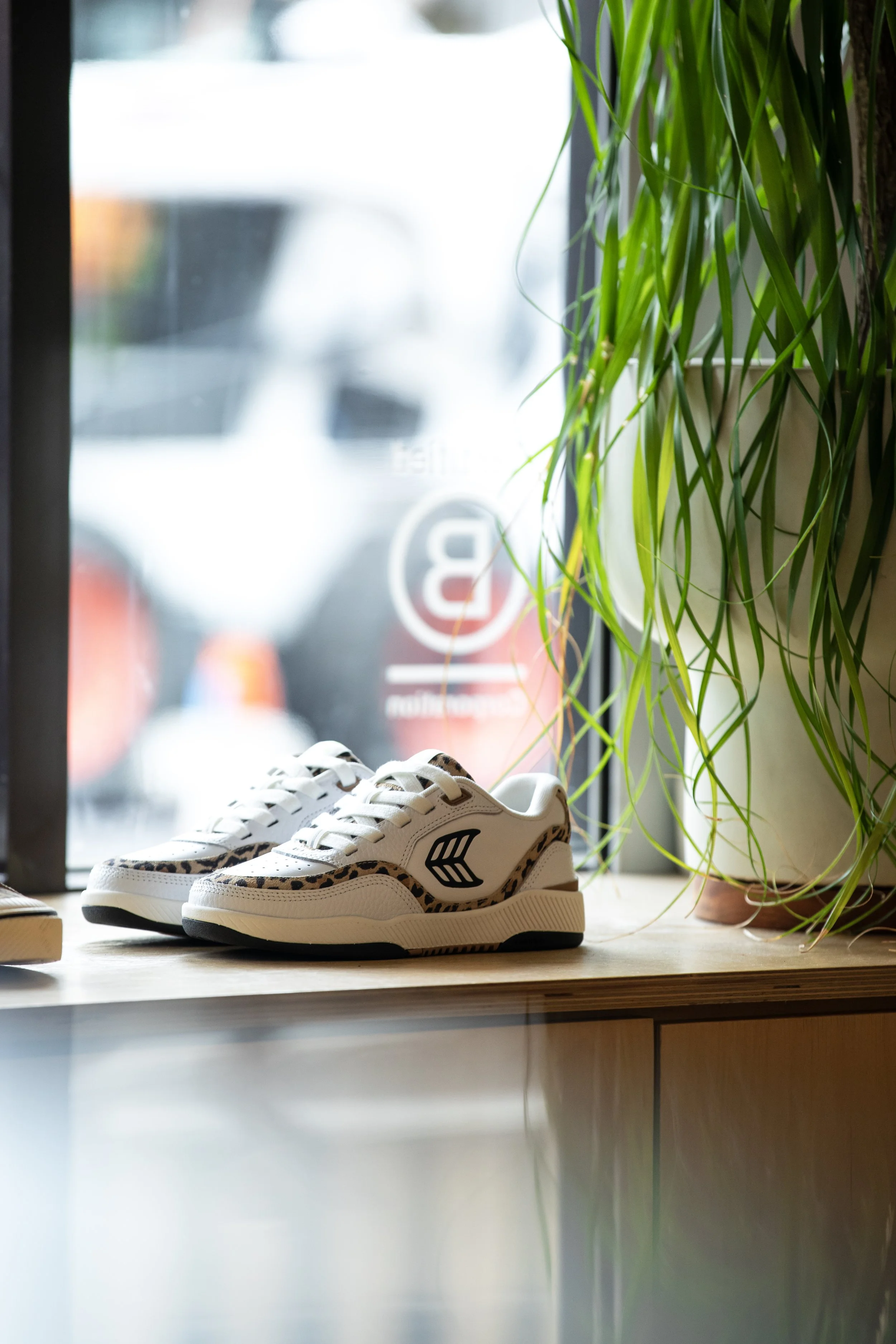 Shoes on window shelf display 9.JPG
