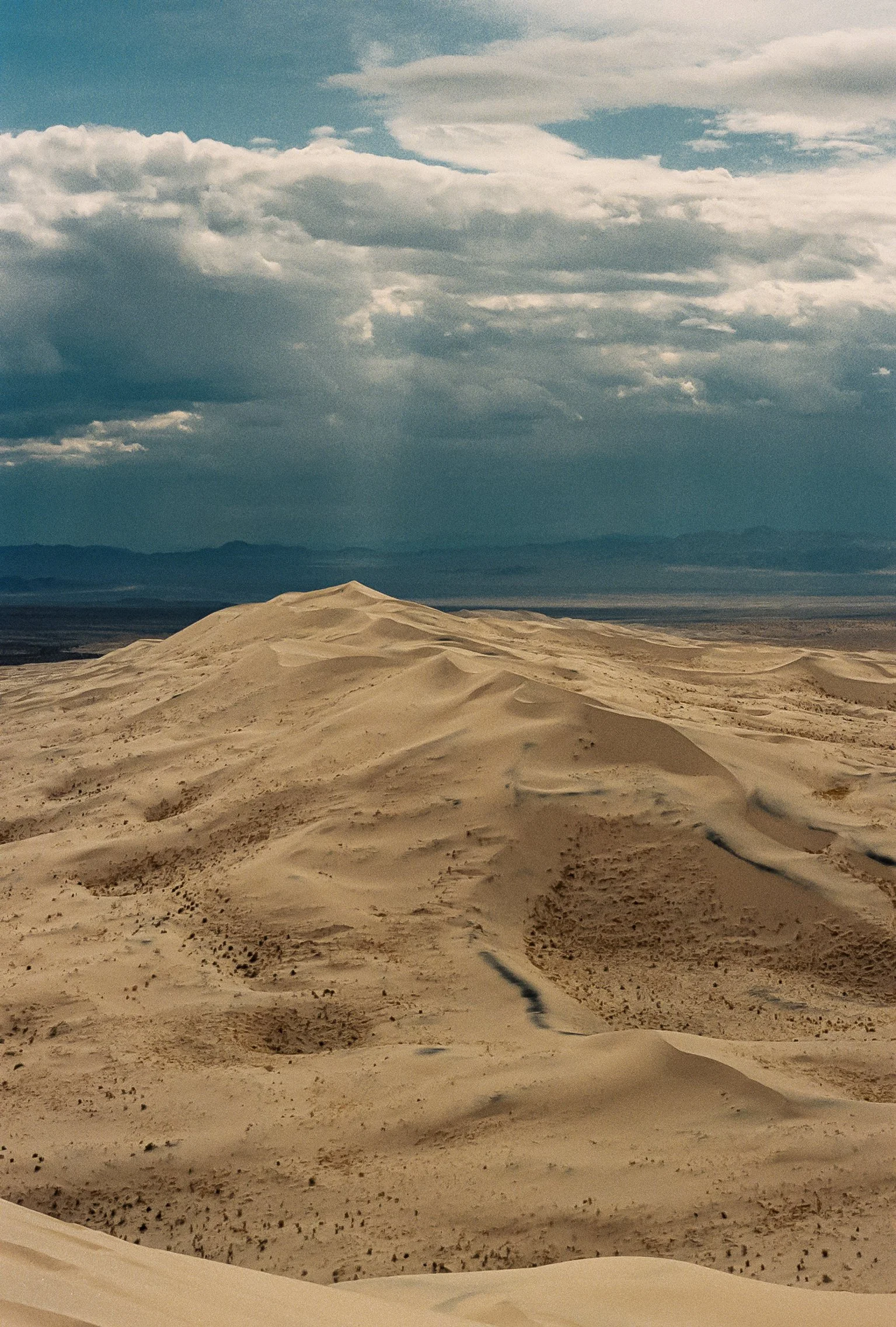 Kelso sand dunes 6.JPG