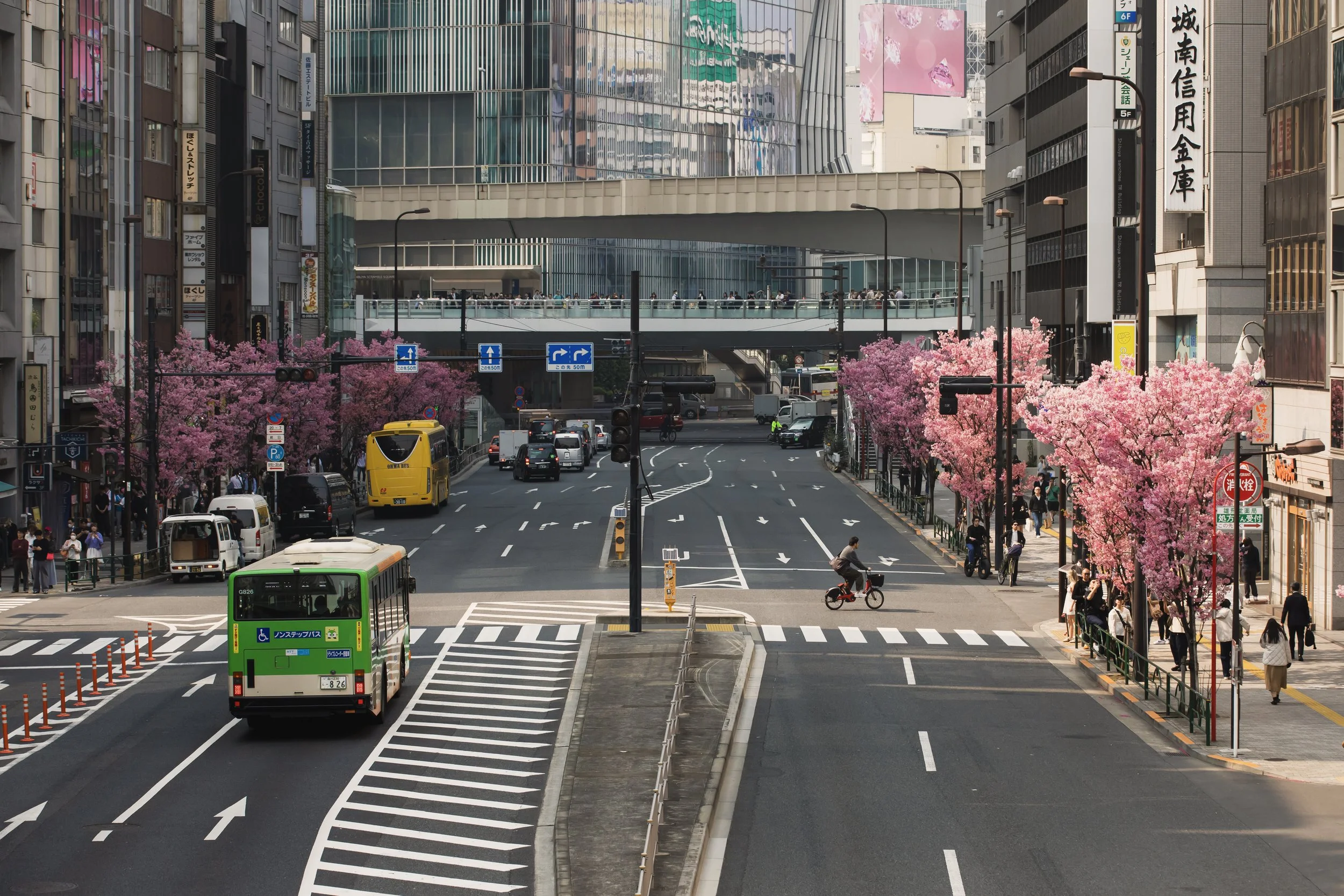 Man riding bike through street.JPG