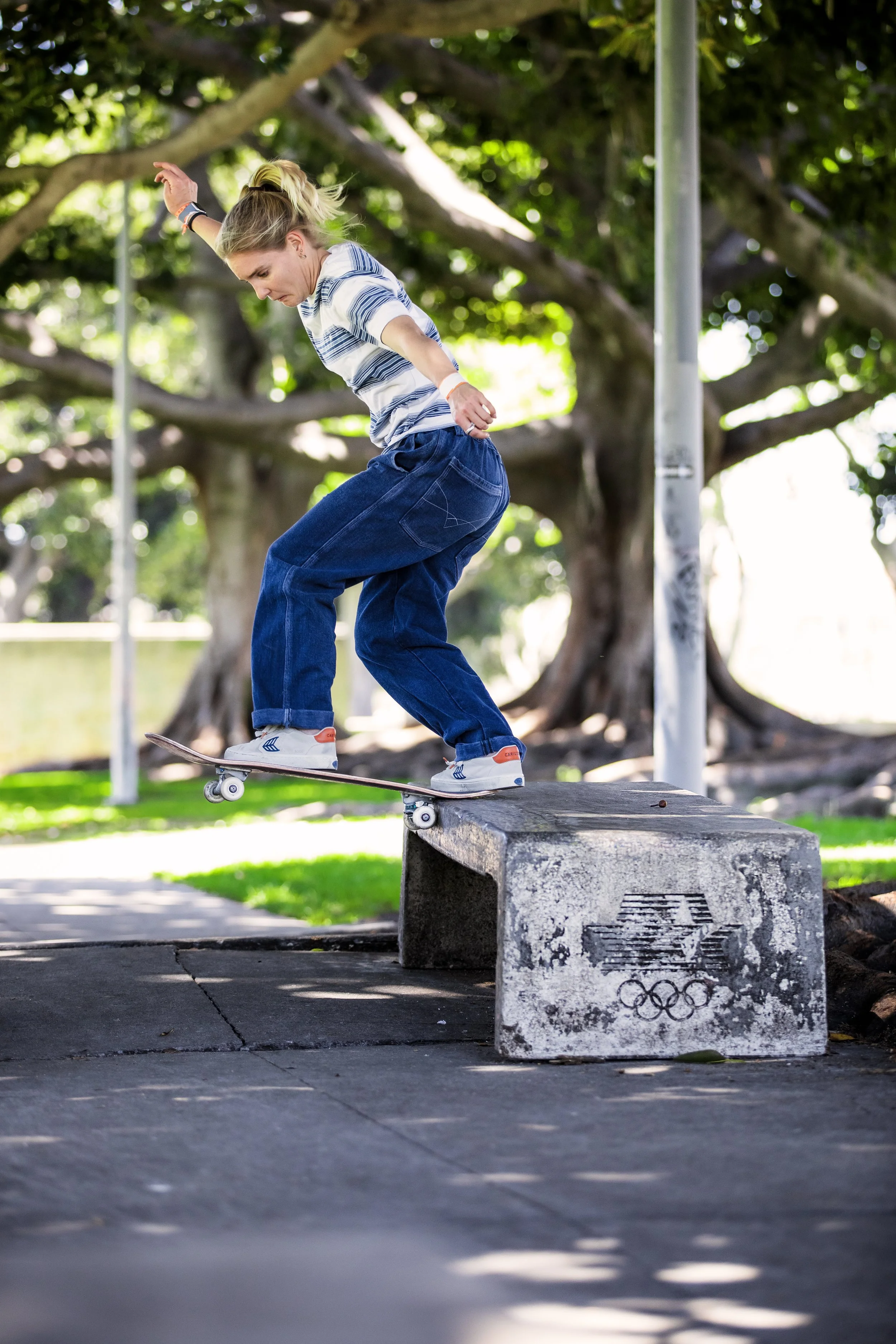 Roos back tail bump to ledge 1.JPG