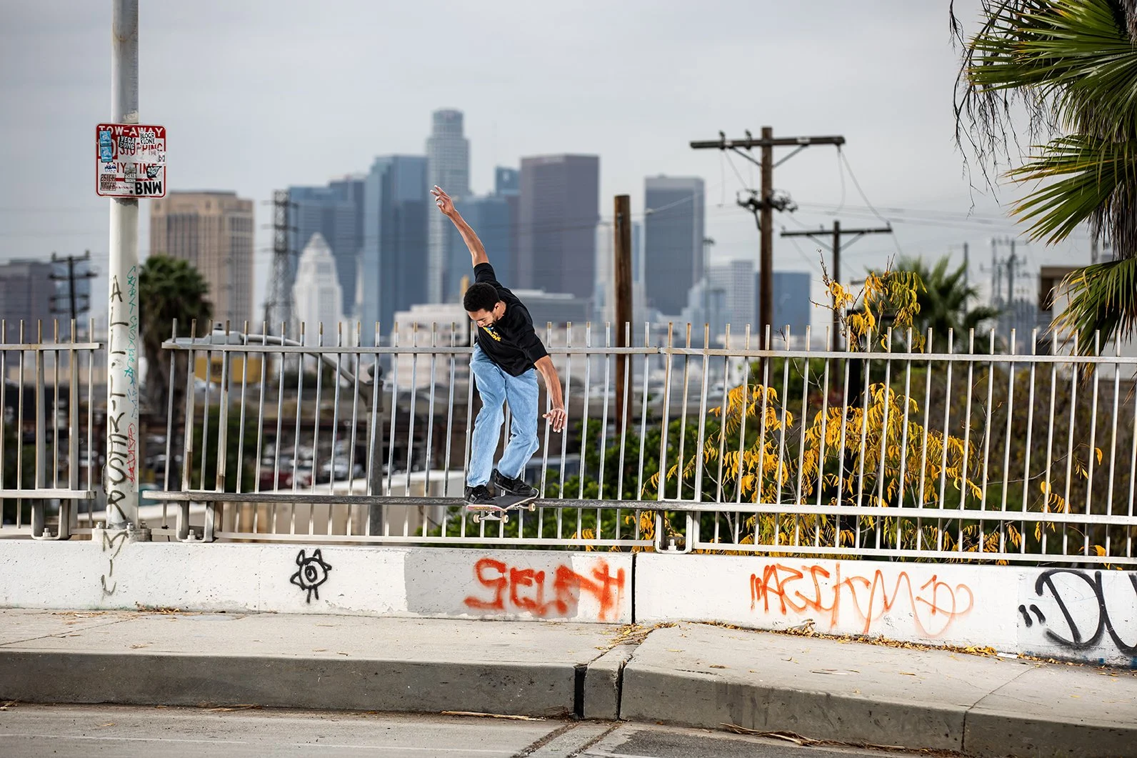 Timmy bs tail bump to bar.jpg